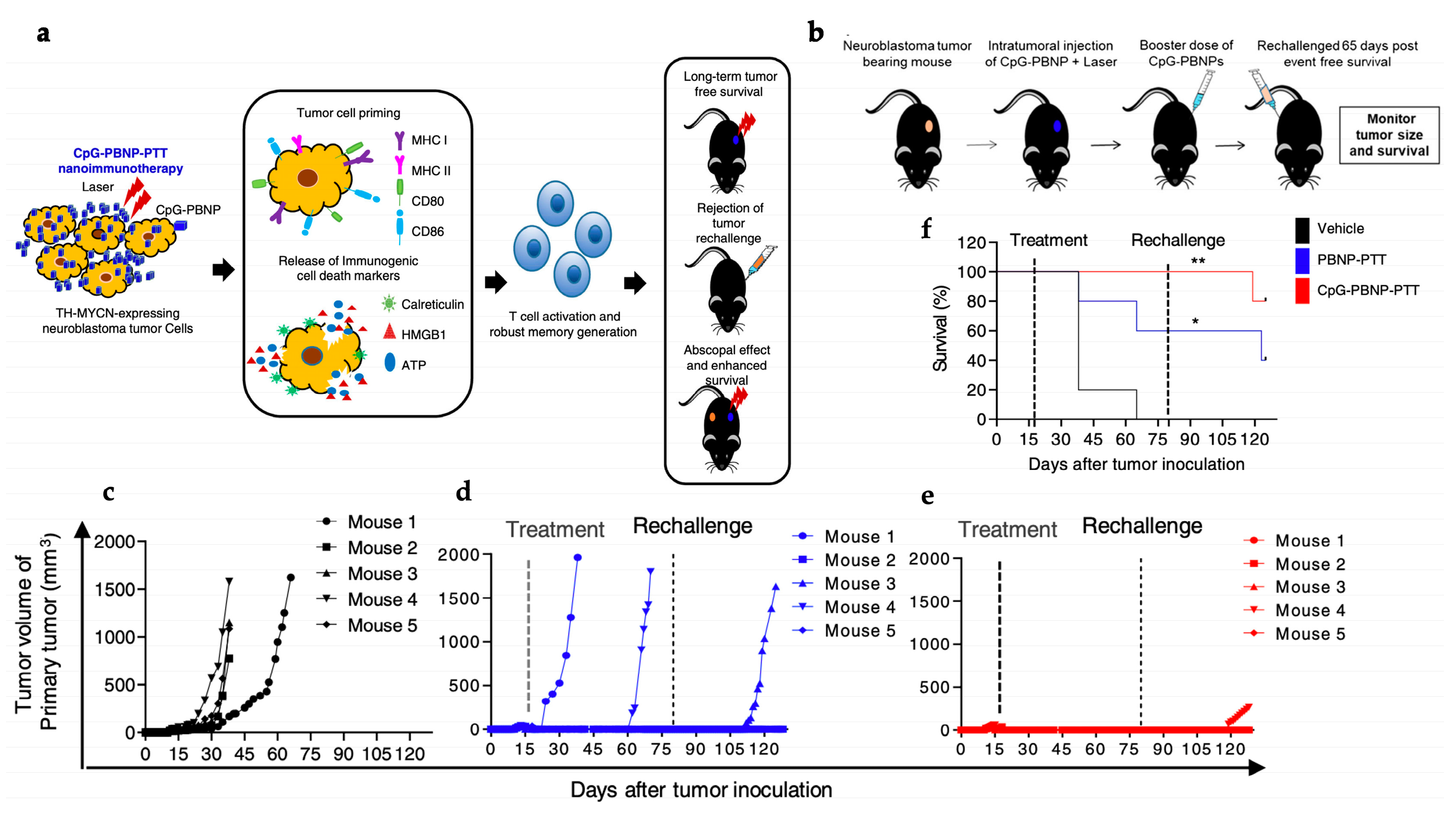 Polymers 15 01490 g008