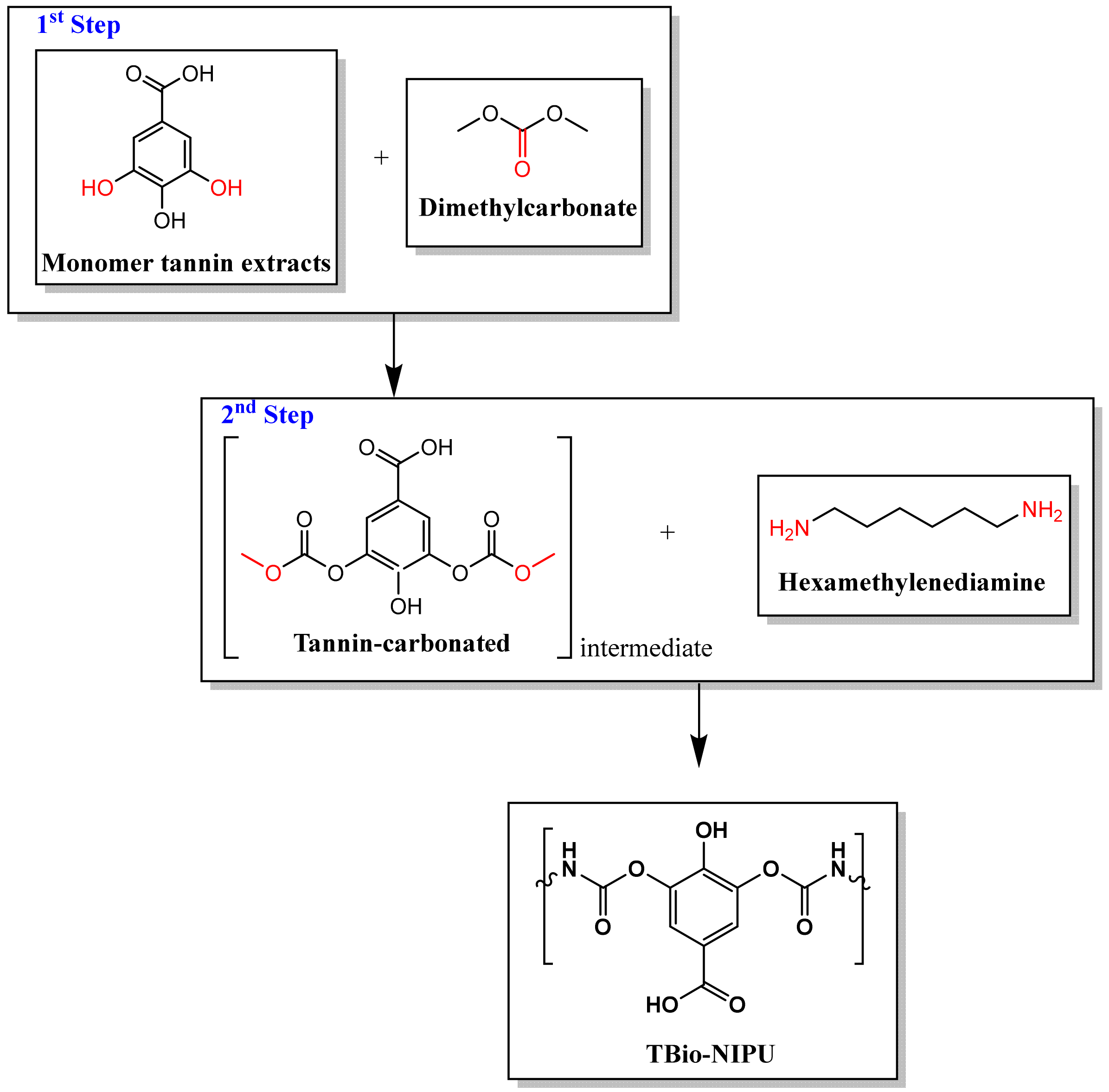 Polymers 15 01492 g004