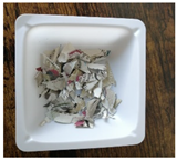 Polymers 15 01501 i002 Polymers 15 01501 i002