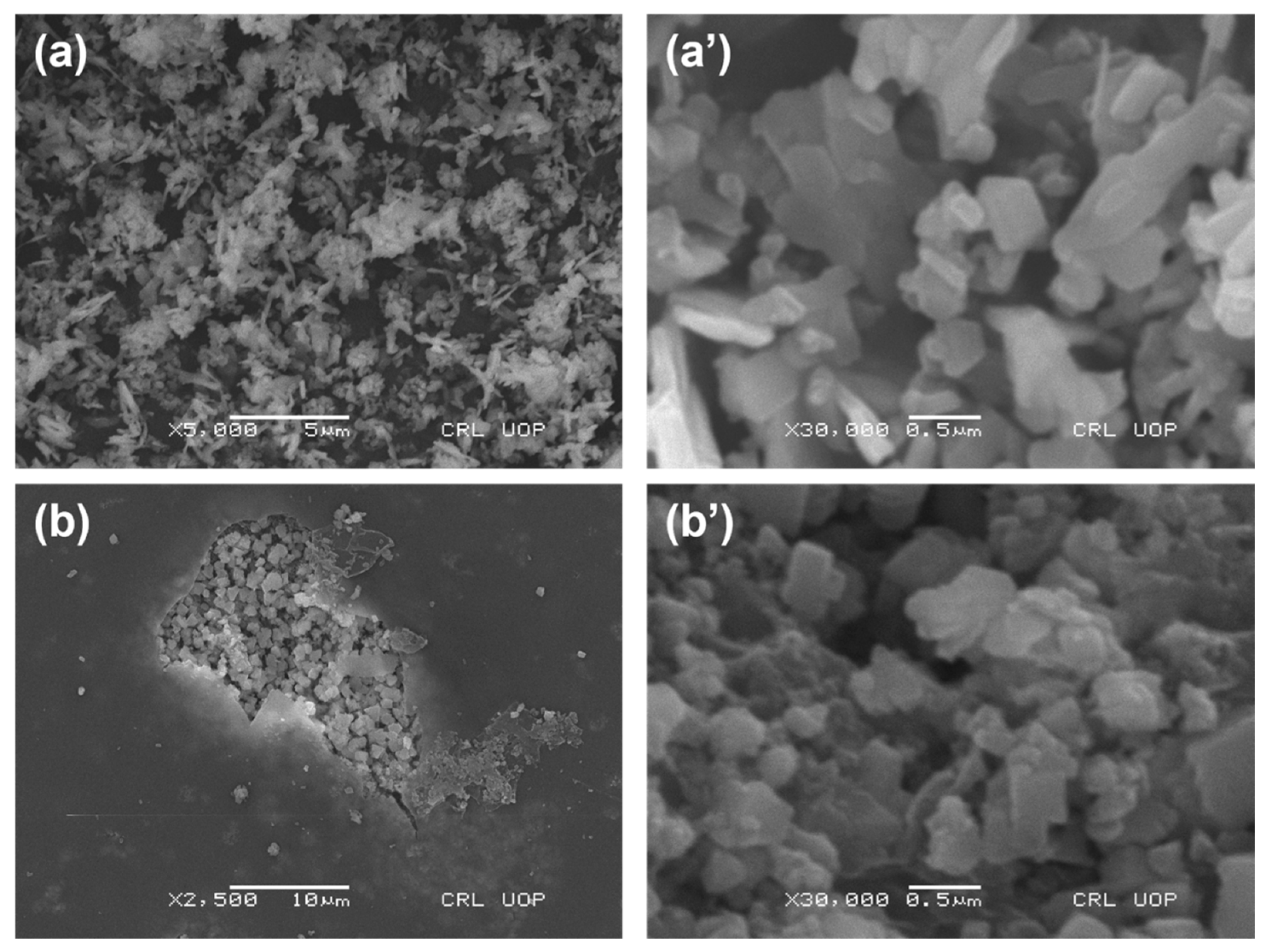 Polymers 15 01502 g002 Polymers 15 01502 g002