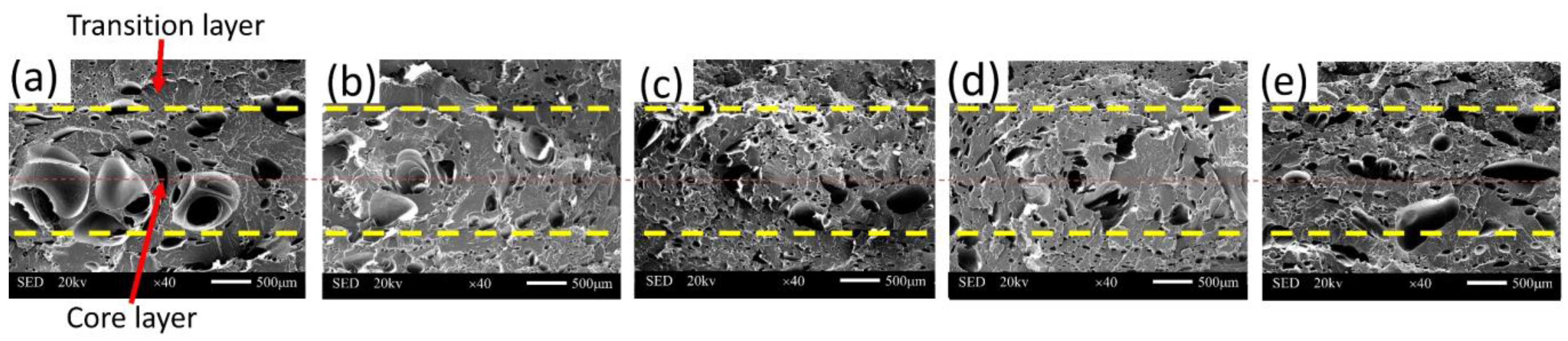 Polymers 15 01503 g007 Polymers 15 01503 g007