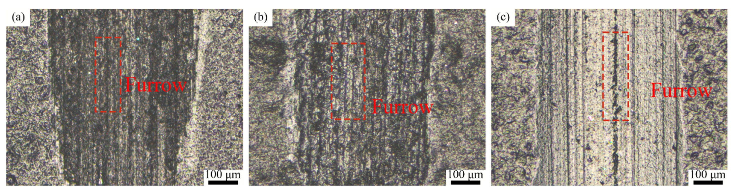 Polymers 15 01507 g009