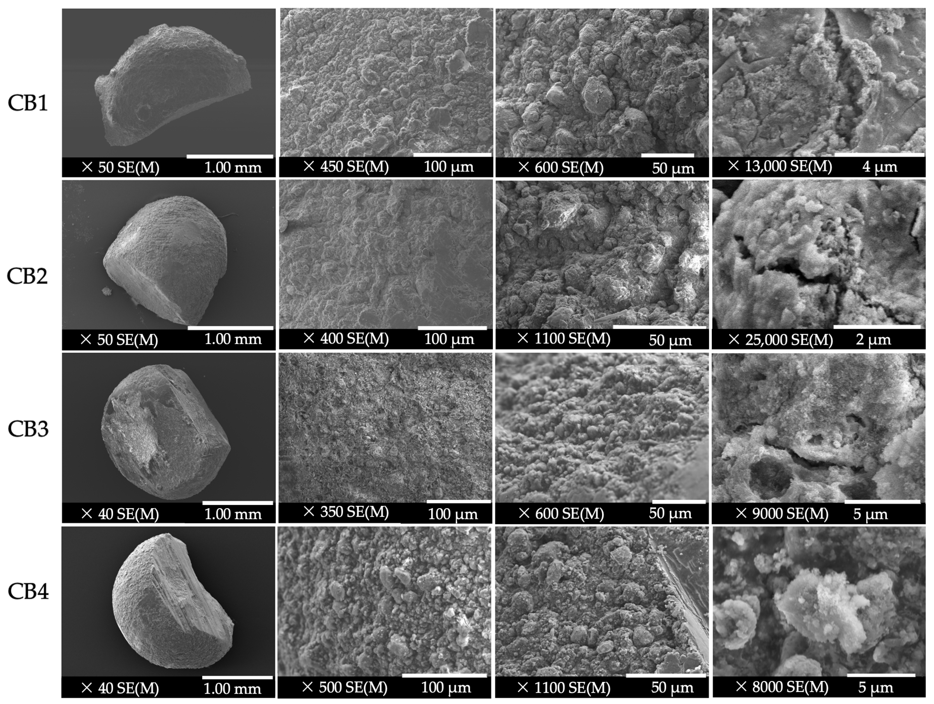 Polymers 15 01509 g002