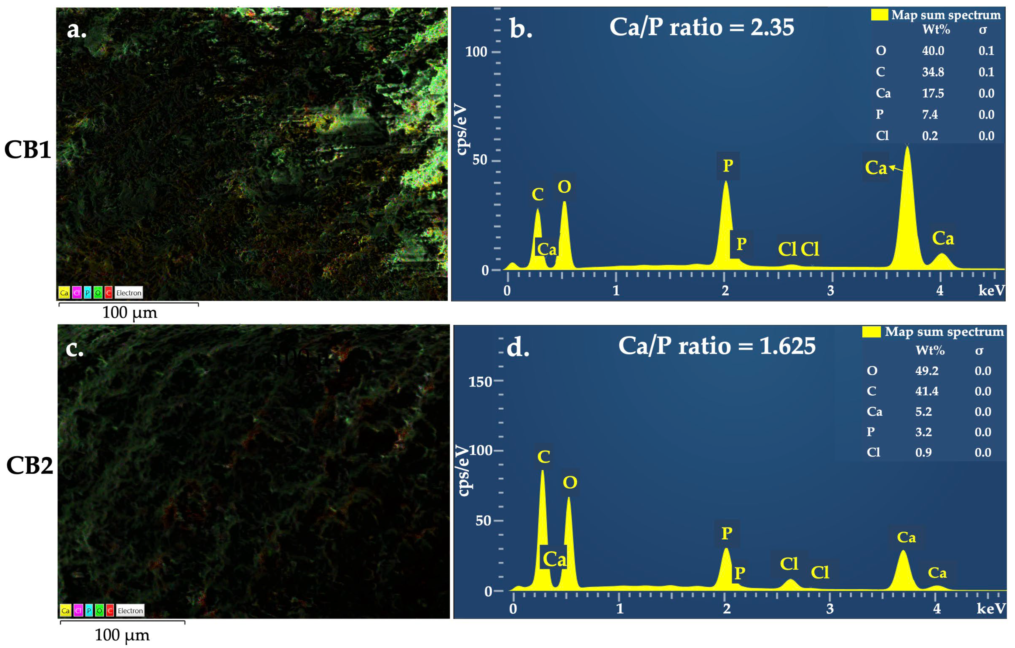 Polymers 15 01509 g003