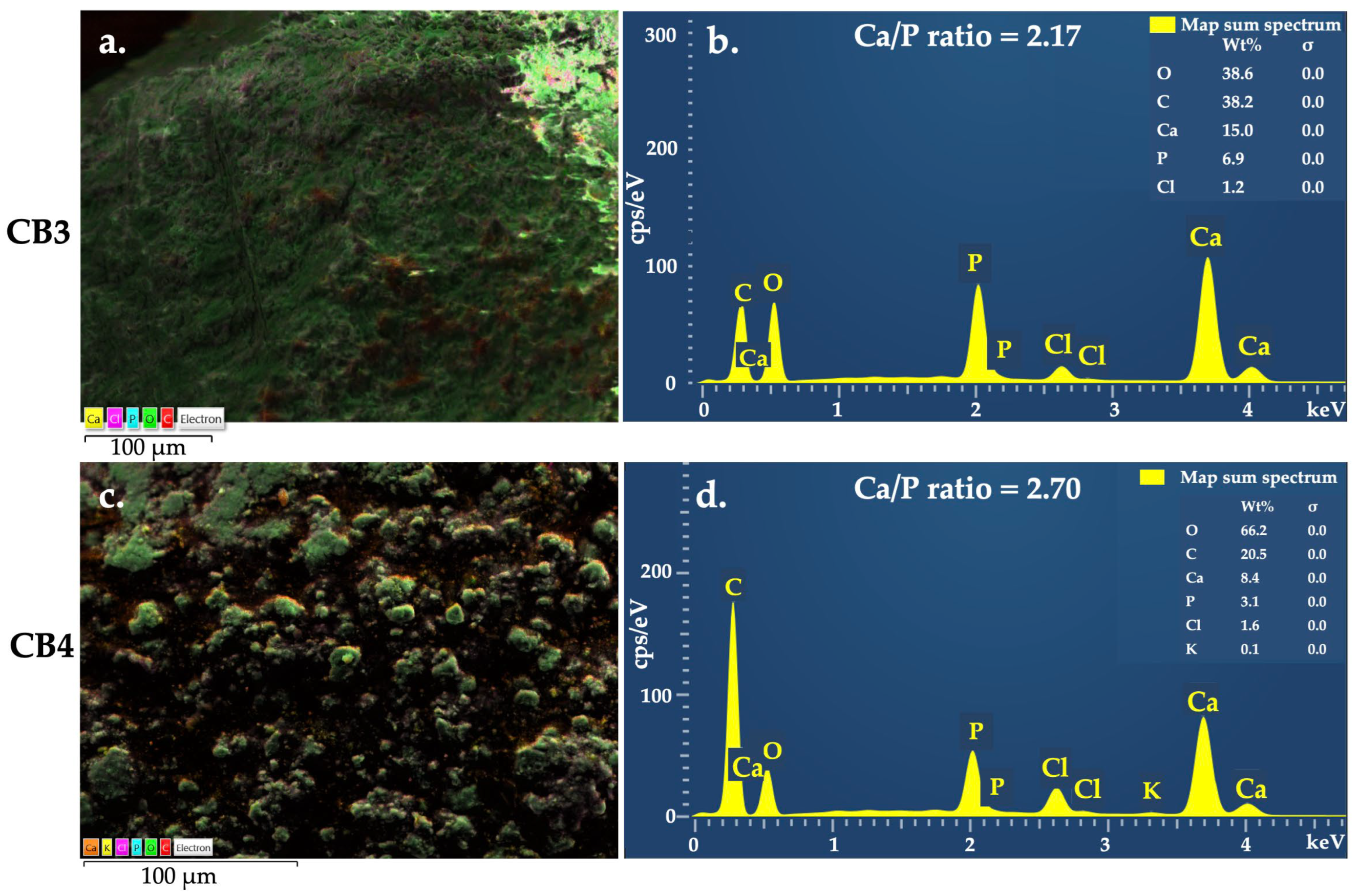 Polymers 15 01509 g004