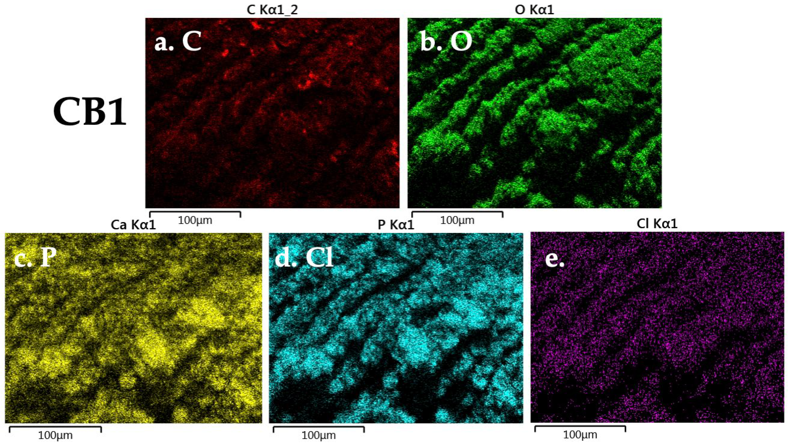 Polymers 15 01509 g0a1