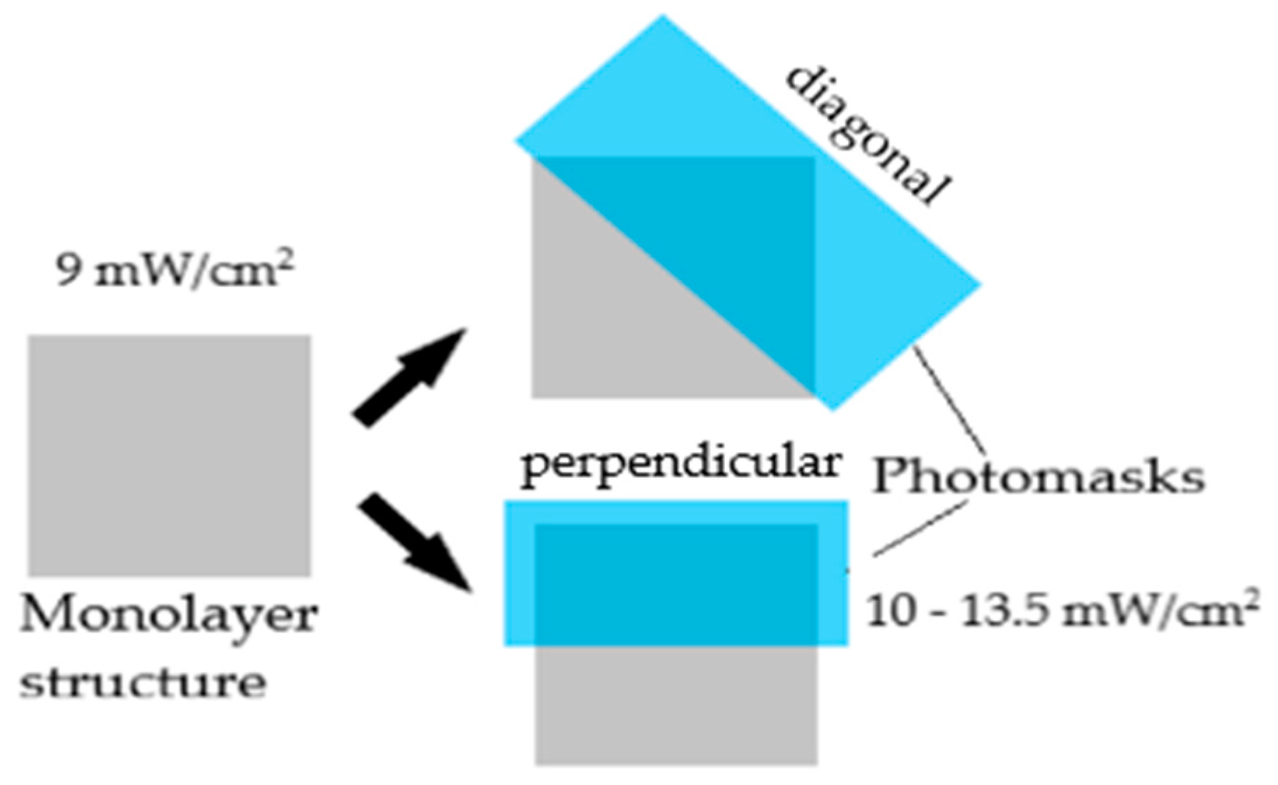 Polymers 15 01511 g001 Polymers 15 01511 g001
