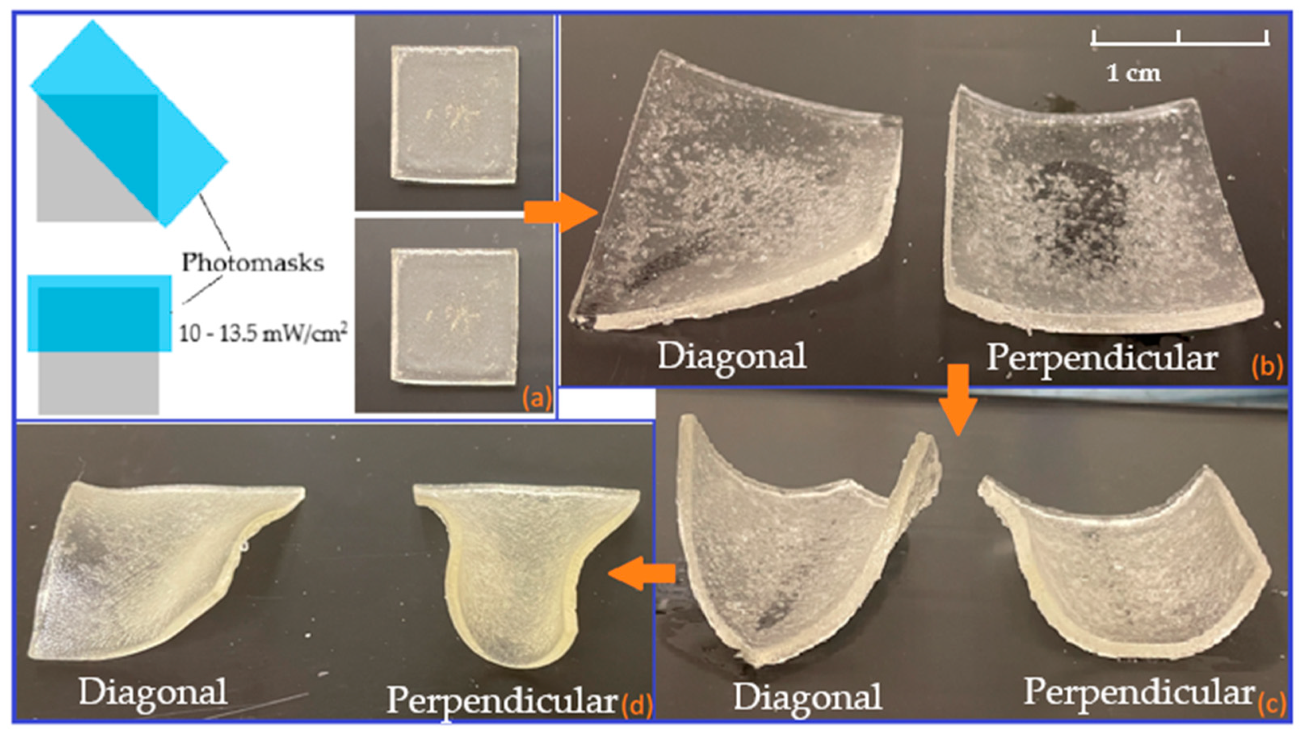 Polymers 15 01511 g007 Polymers 15 01511 g007