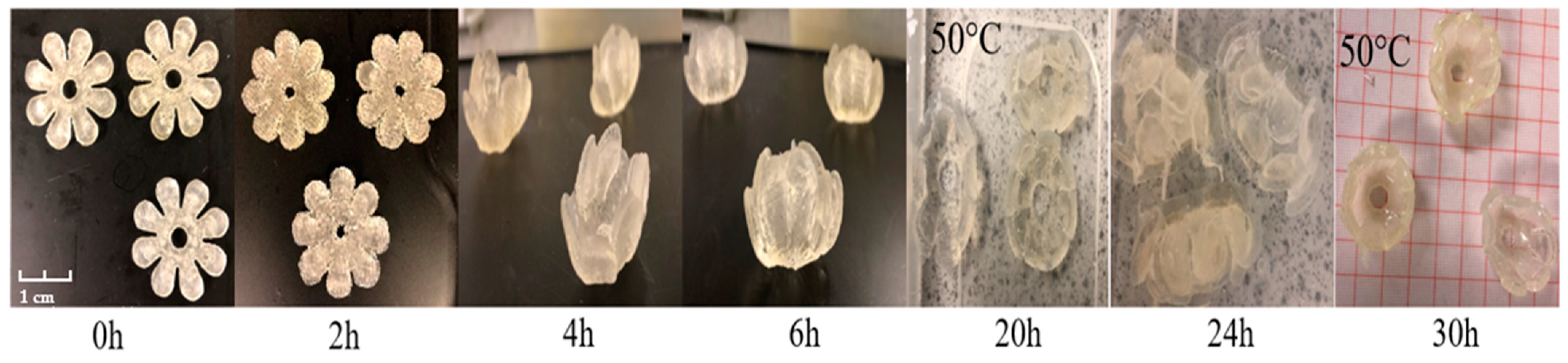 Polymers 15 01511 g010 Polymers 15 01511 g010