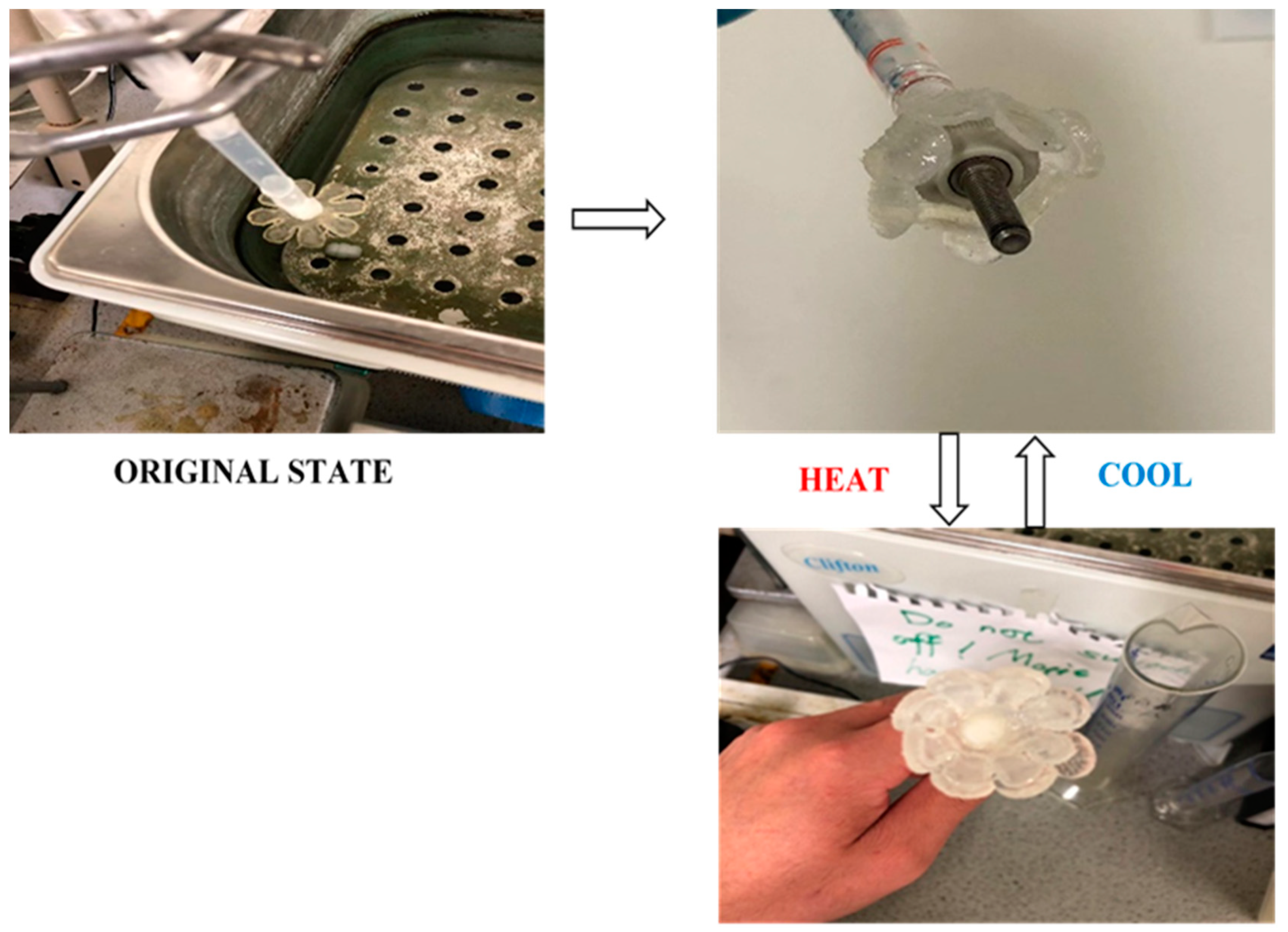 Polymers 15 01511 g013 Polymers 15 01511 g013