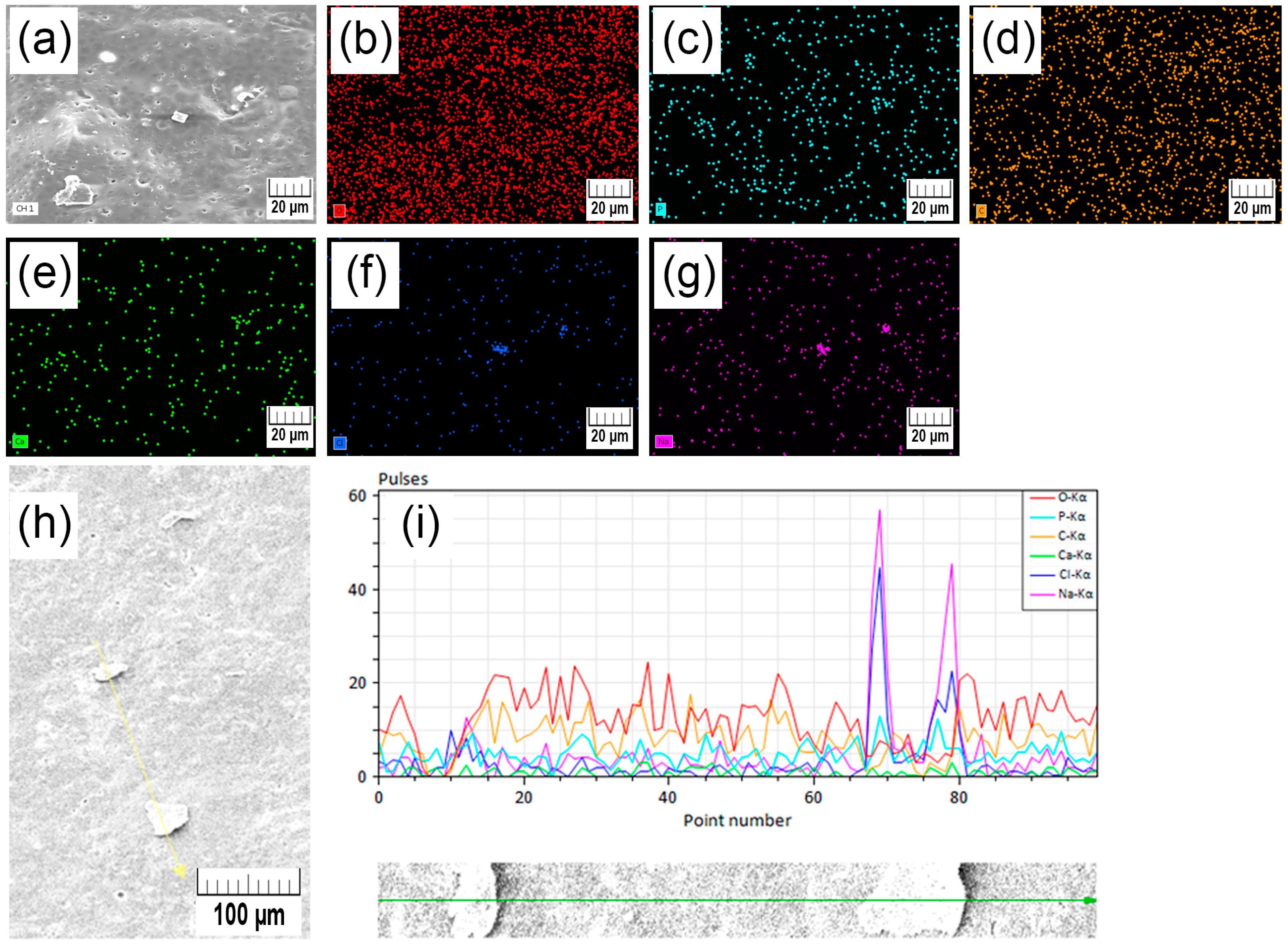 Polymers 15 01512 g0a1