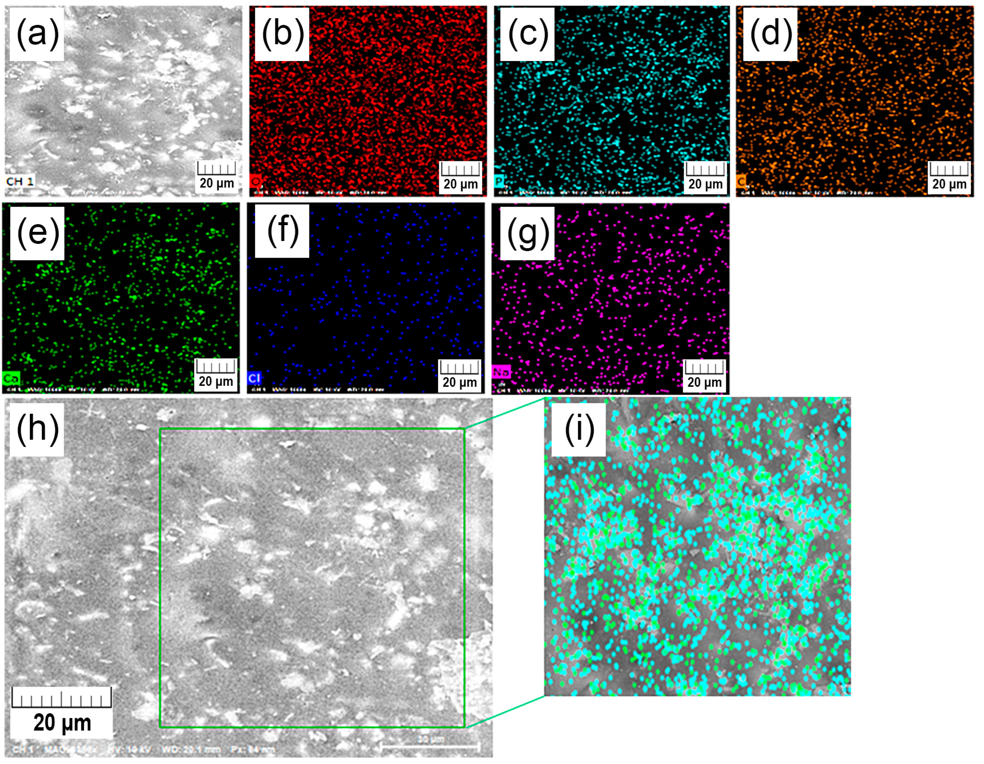 Polymers 15 01512 g0a2