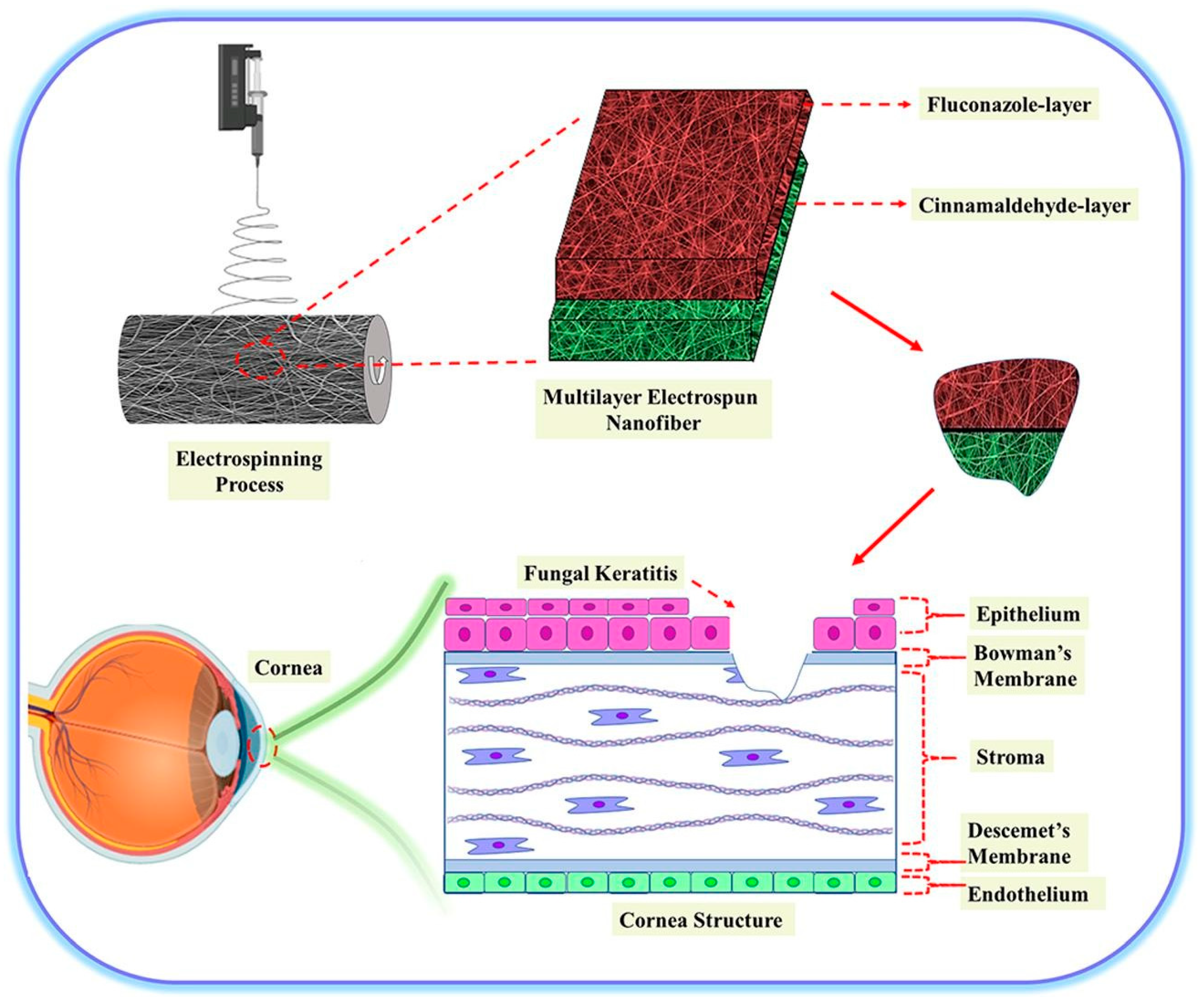 Polymers 15 01517 g003 Polymers 15 01517 g003