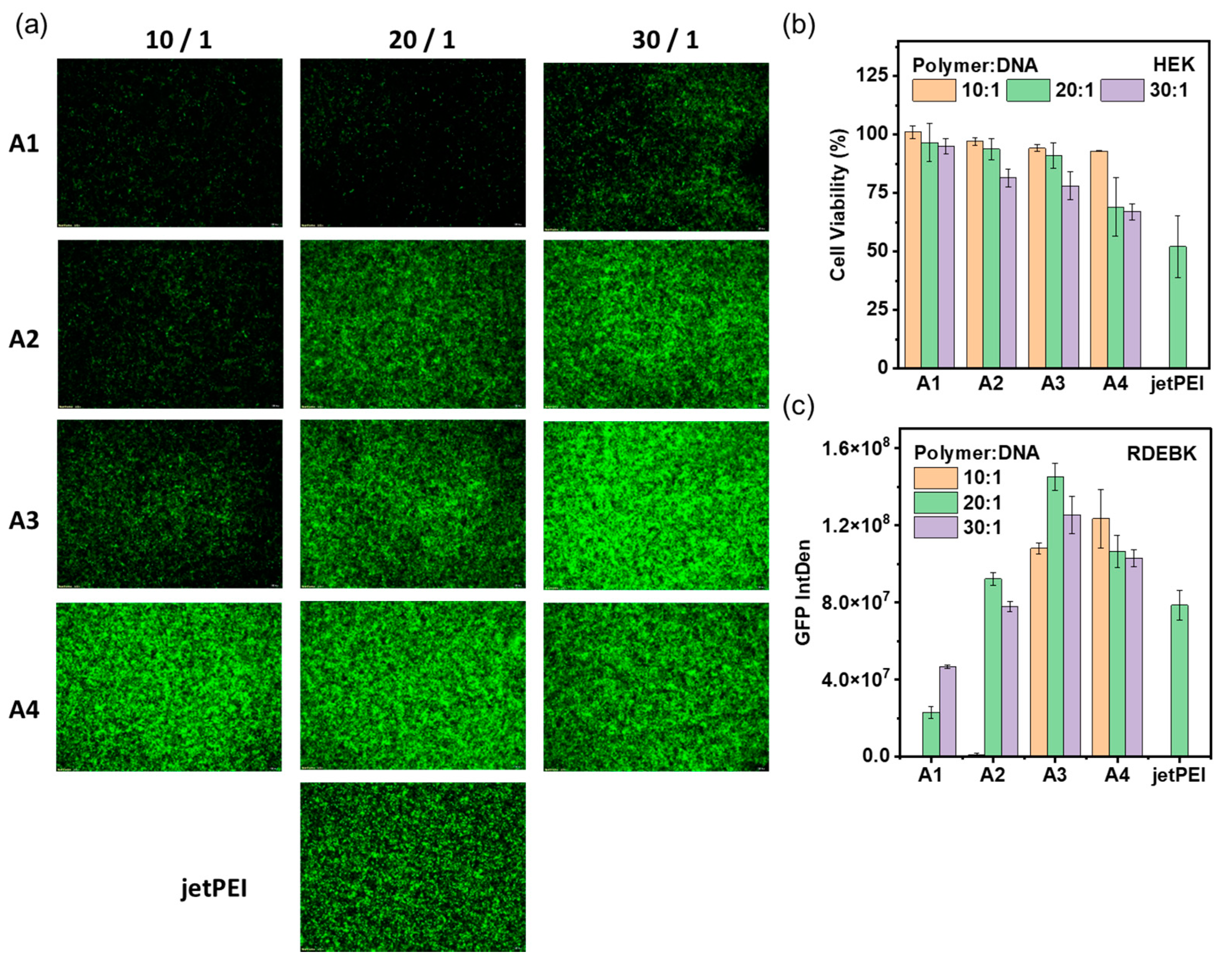 Polymers 15 01518 g002
