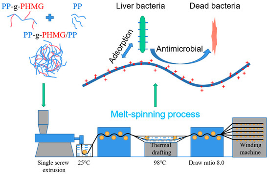 その他 thus 瞬足】S-AXELRATER｜2E｜左右非対称ソール