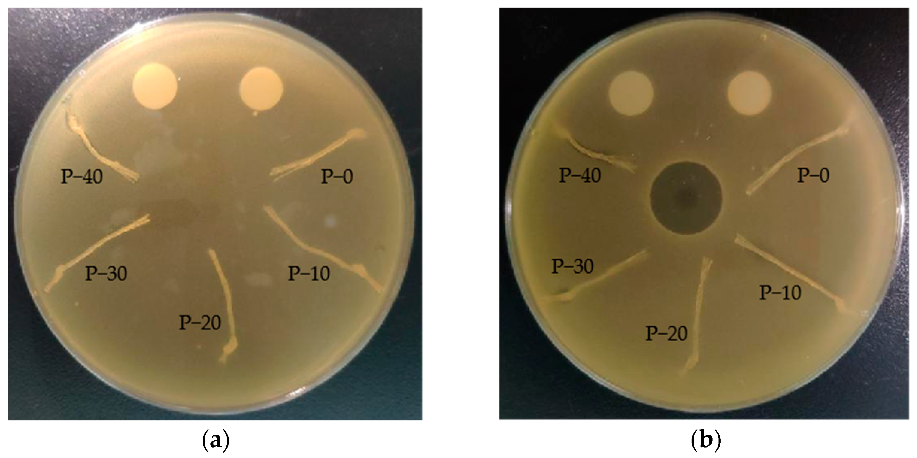 Polymers 15 01521 g009 Polymers 15 01521 g009