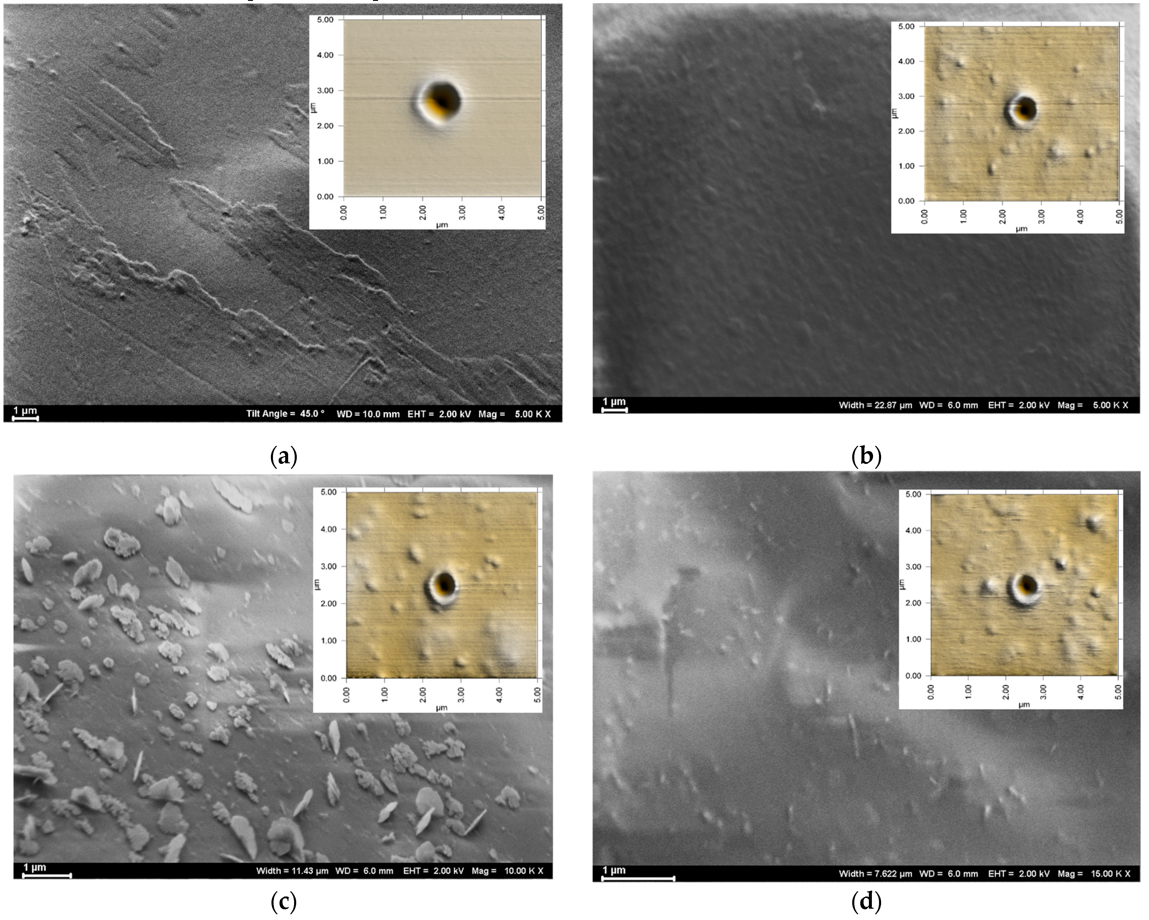 Polymers 15 01522 g004