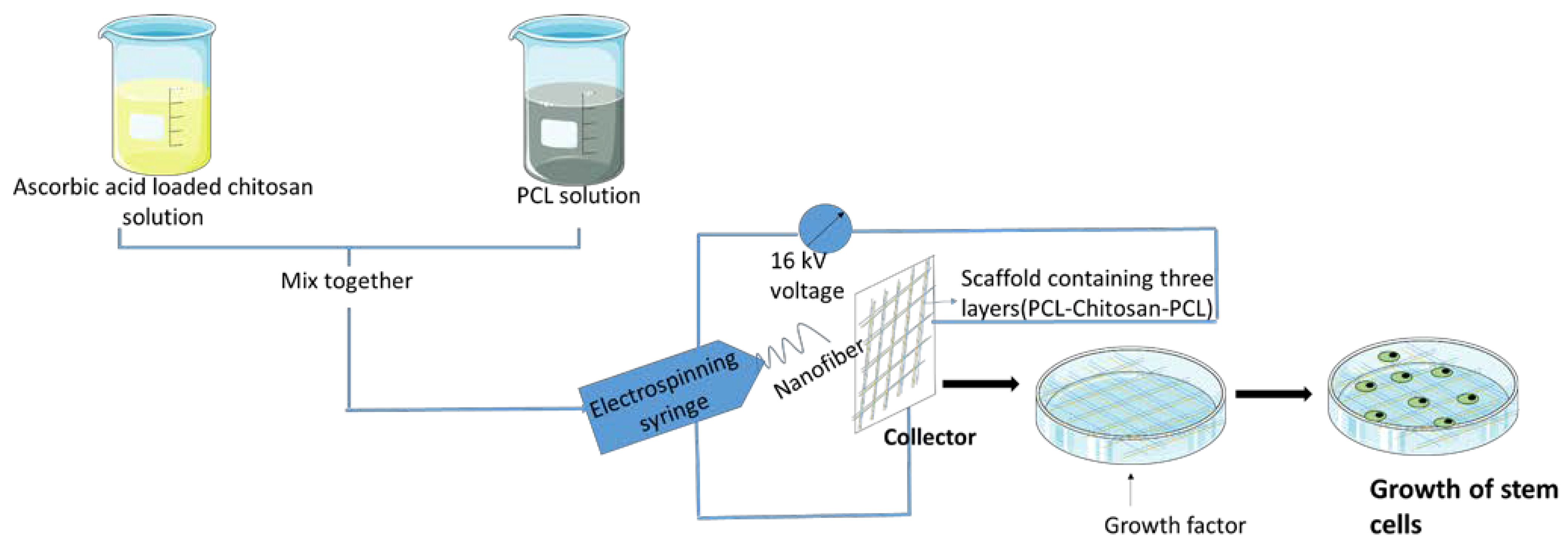 Polymers 15 01525 g003 Polymers 15 01525 g003