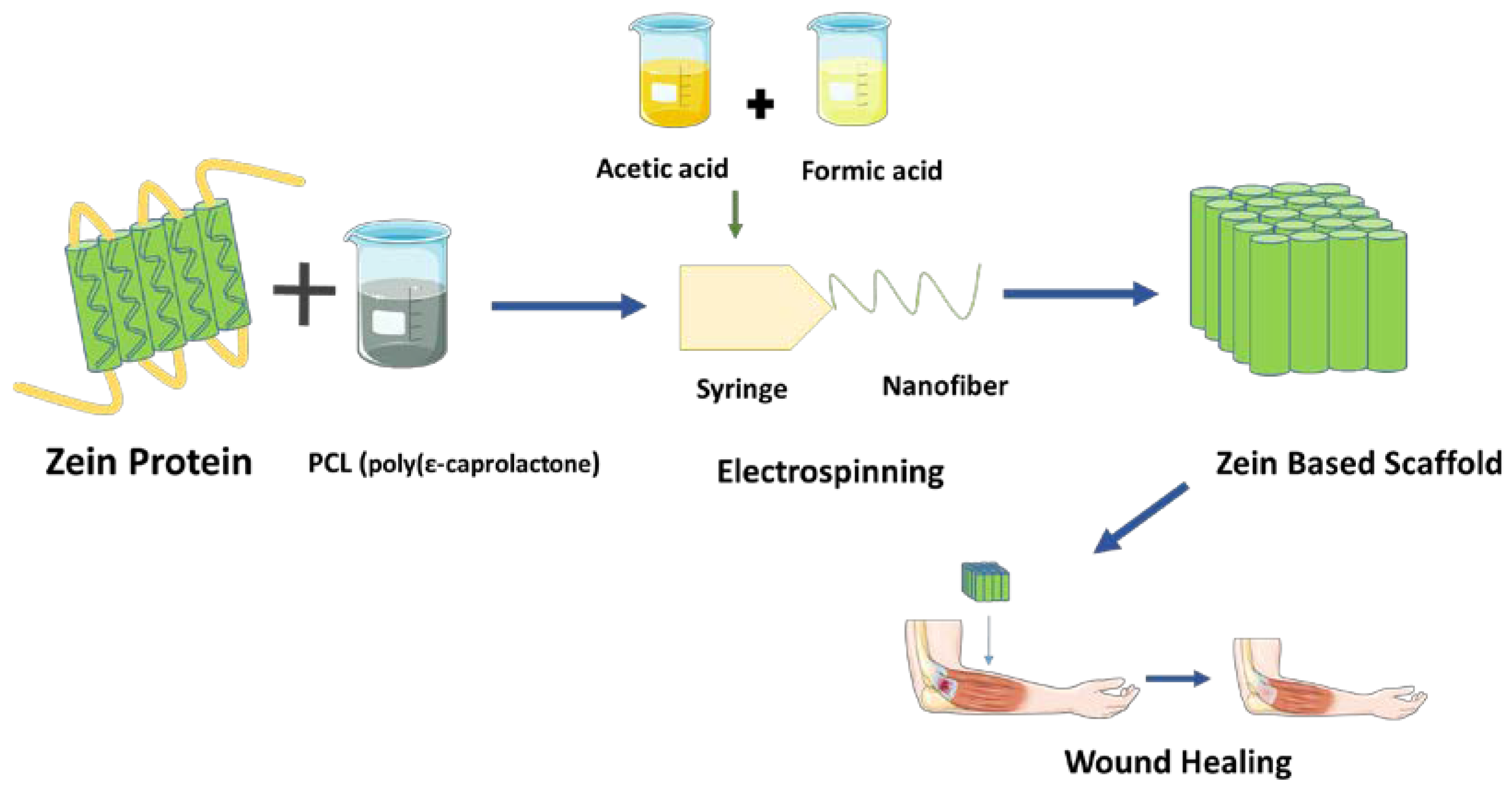 Polymers 15 01525 g008 Polymers 15 01525 g008