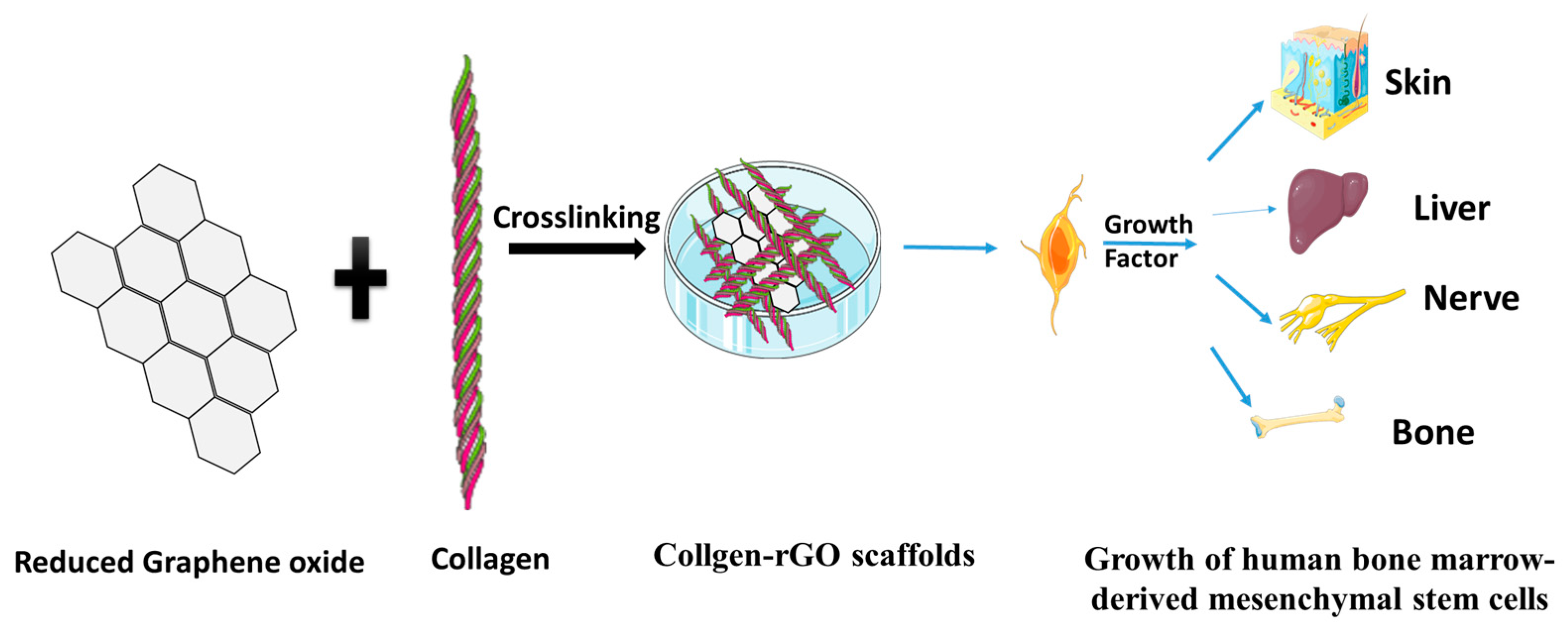 Polymers 15 01525 g009 Polymers 15 01525 g009