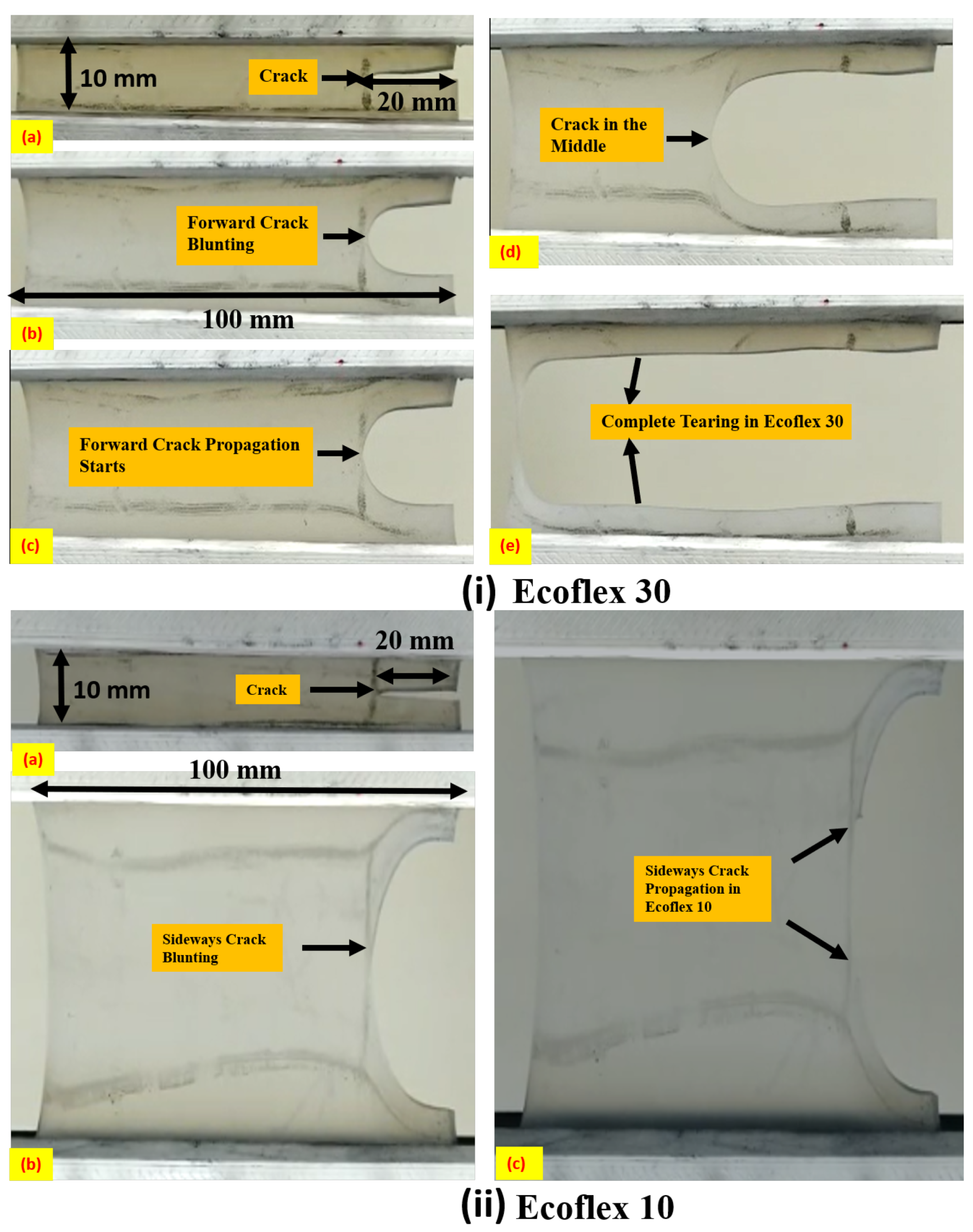 Polymers 15 01526 g002
