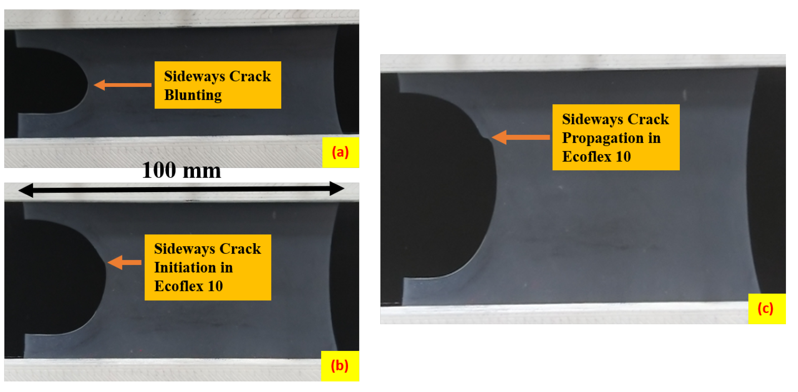 Polymers 15 01526 g003