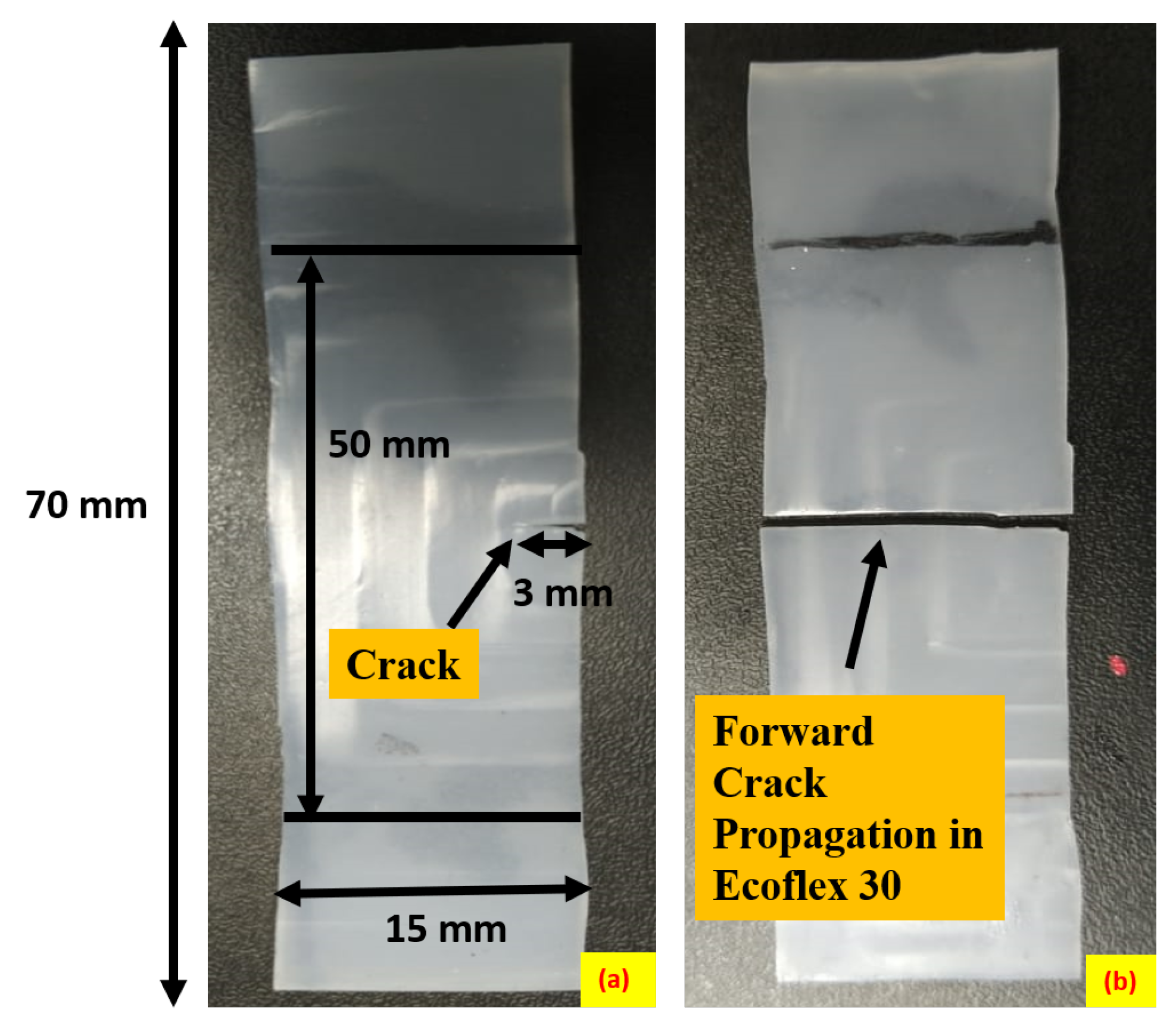 Polymers 15 01526 g004