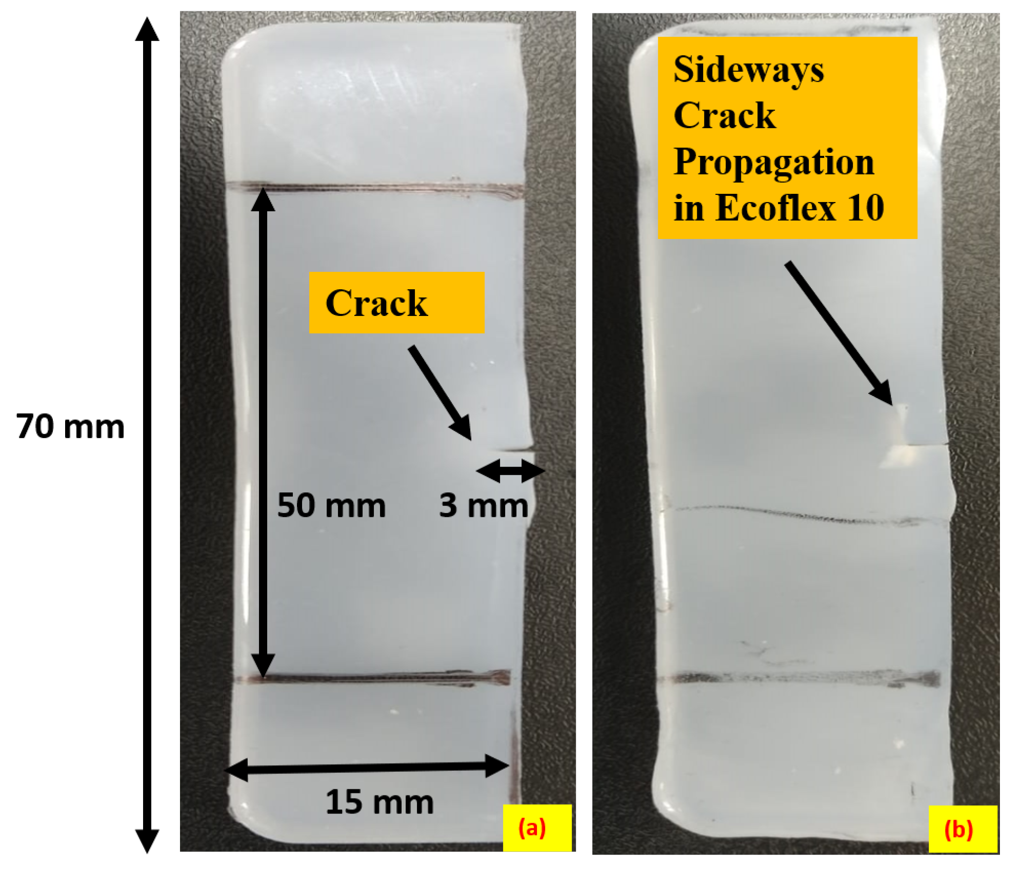 Polymers 15 01526 g005