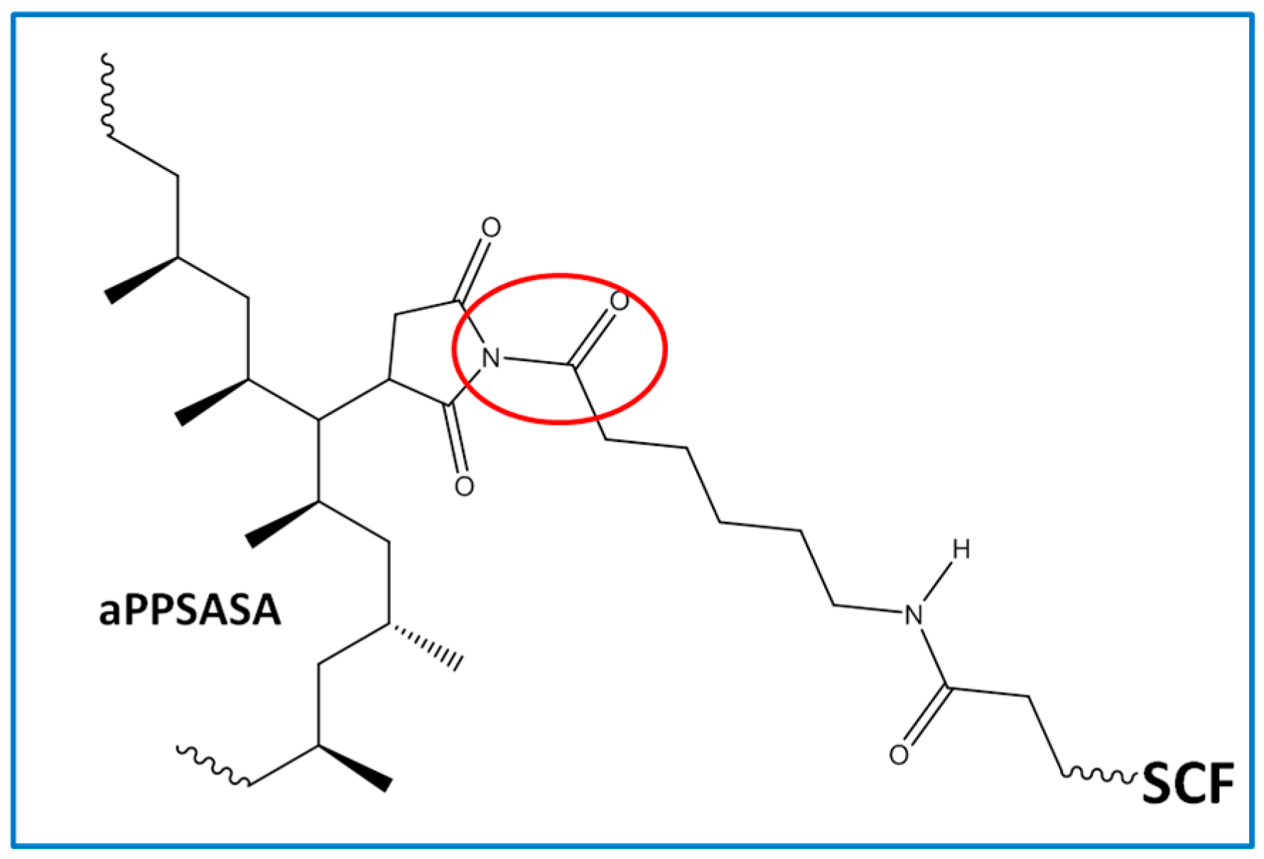 Polymers 15 01527 g003