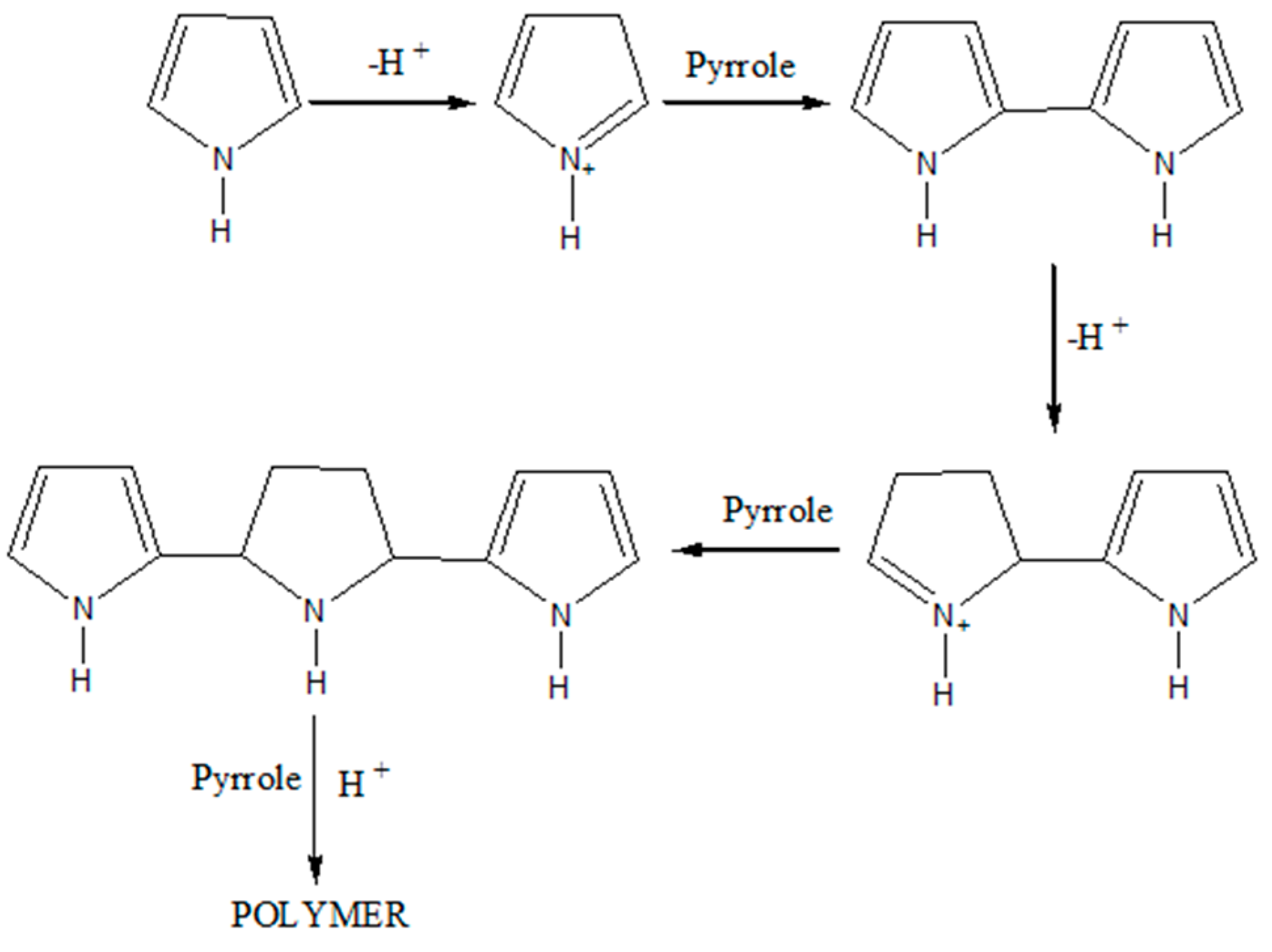 Polymers 15 01528 g002