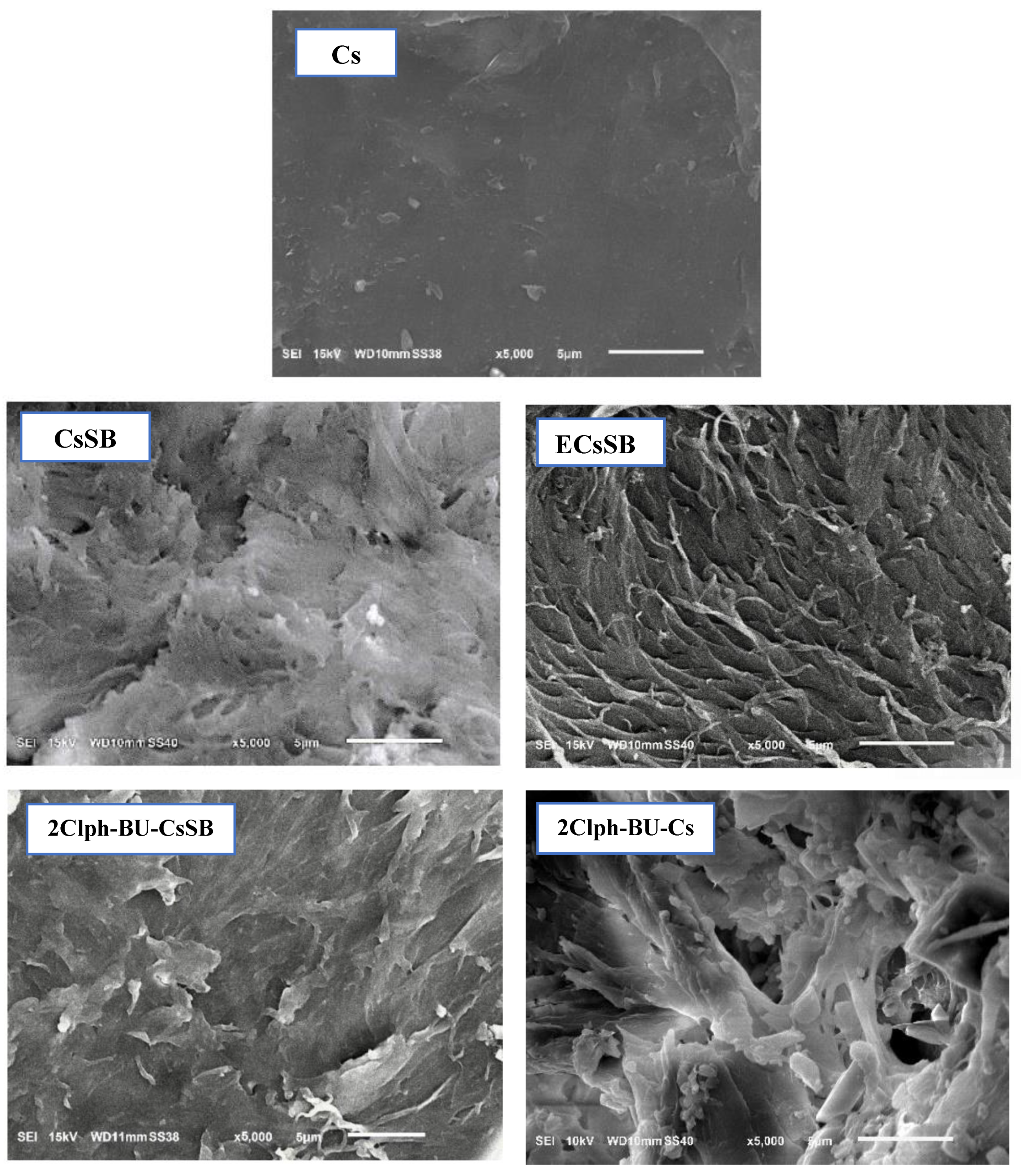 Polymers 15 01529 g005 Polymers 15 01529 g005