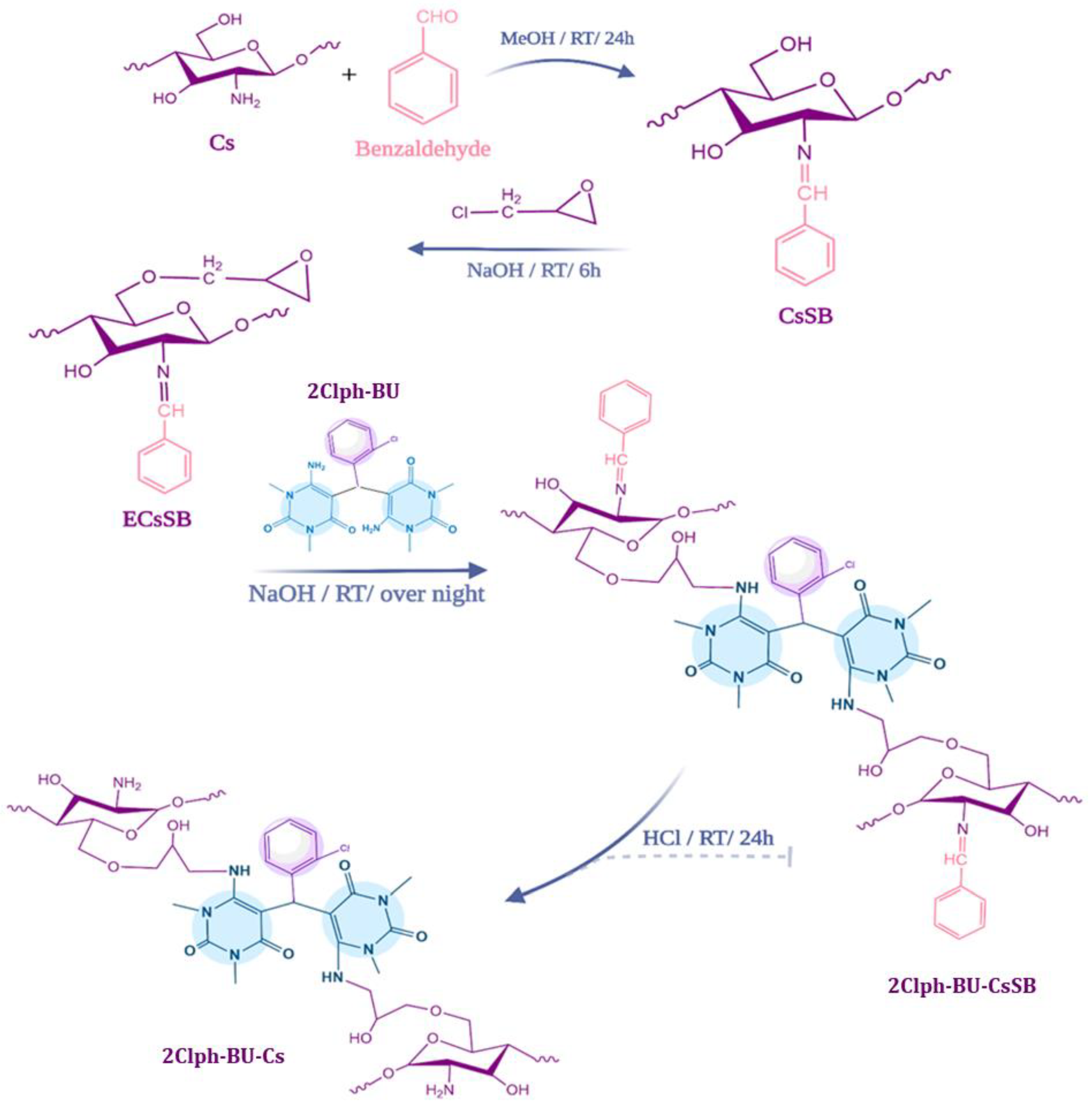 Polymers 15 01529 sch002 Polymers 15 01529 sch002