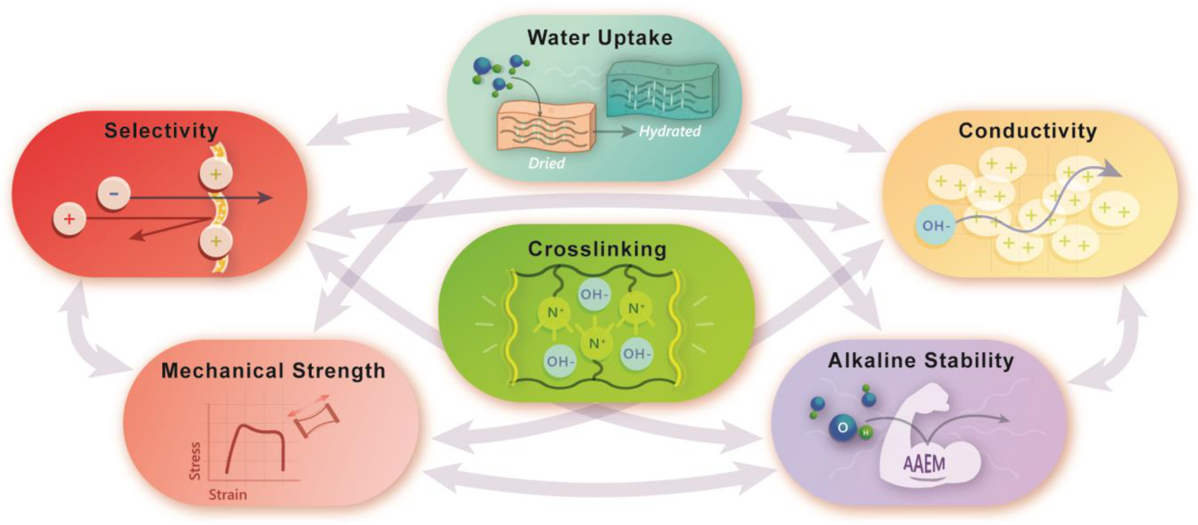 Polymers 15 01534 g002