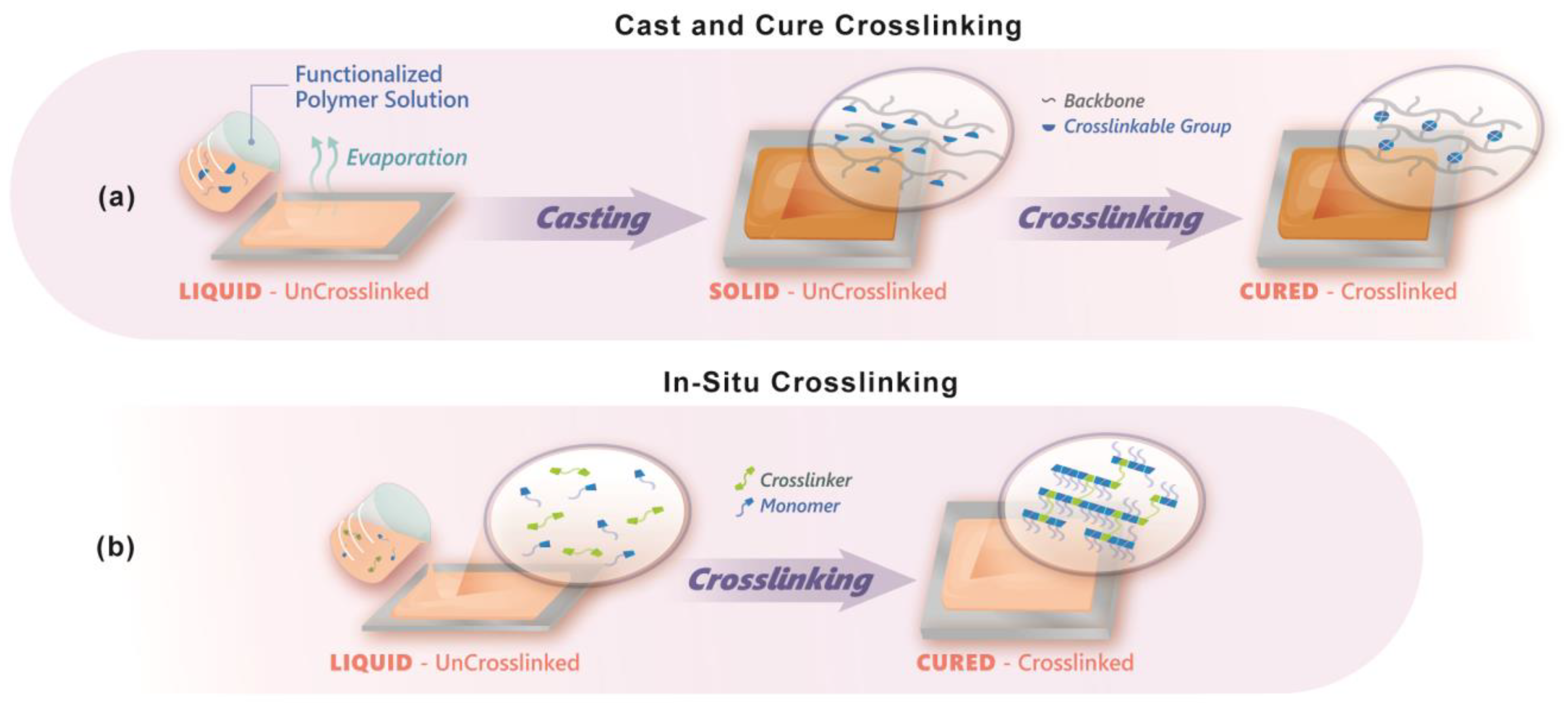 Polymers 15 01534 g009
