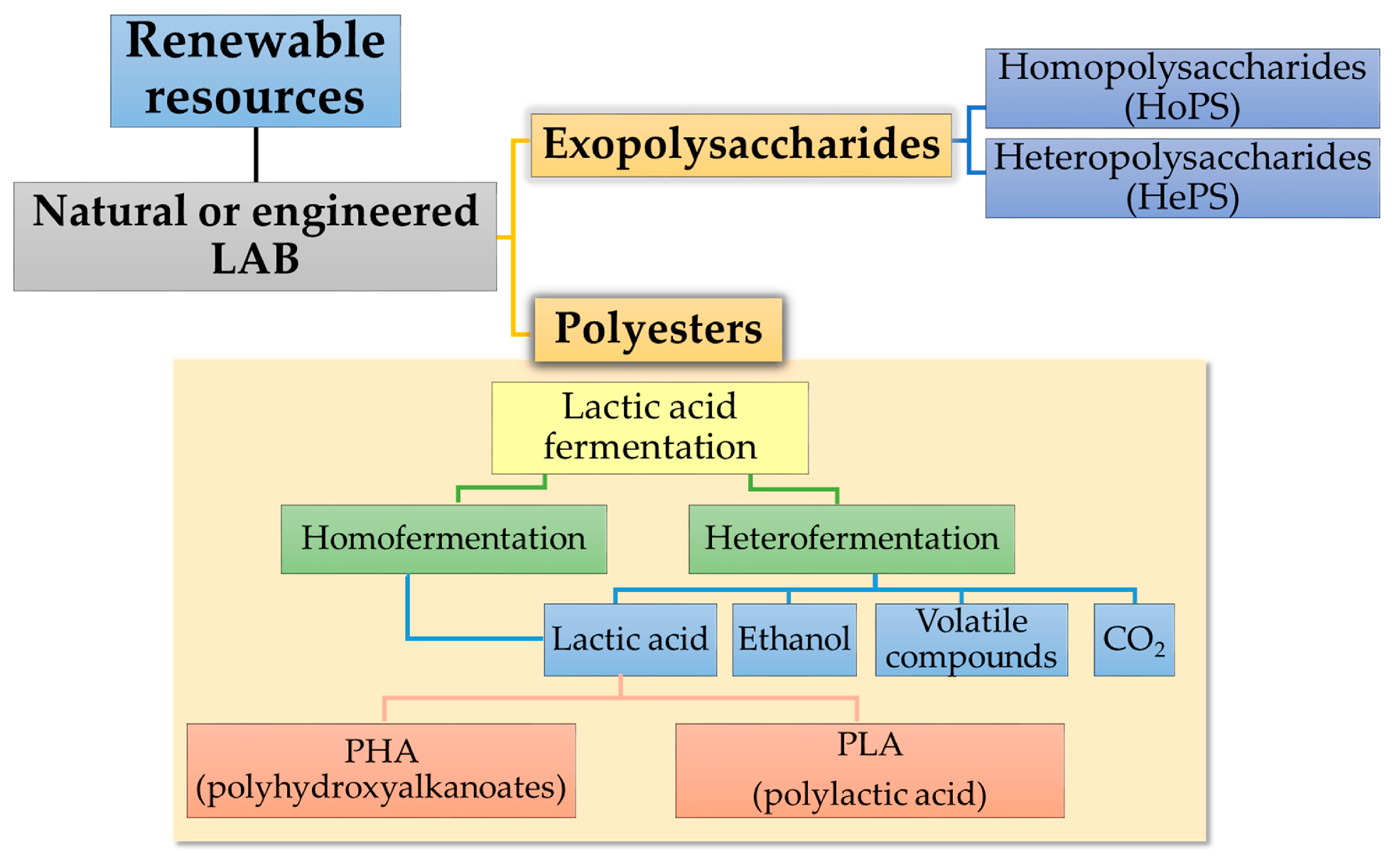 Polymers 15 01539 g003