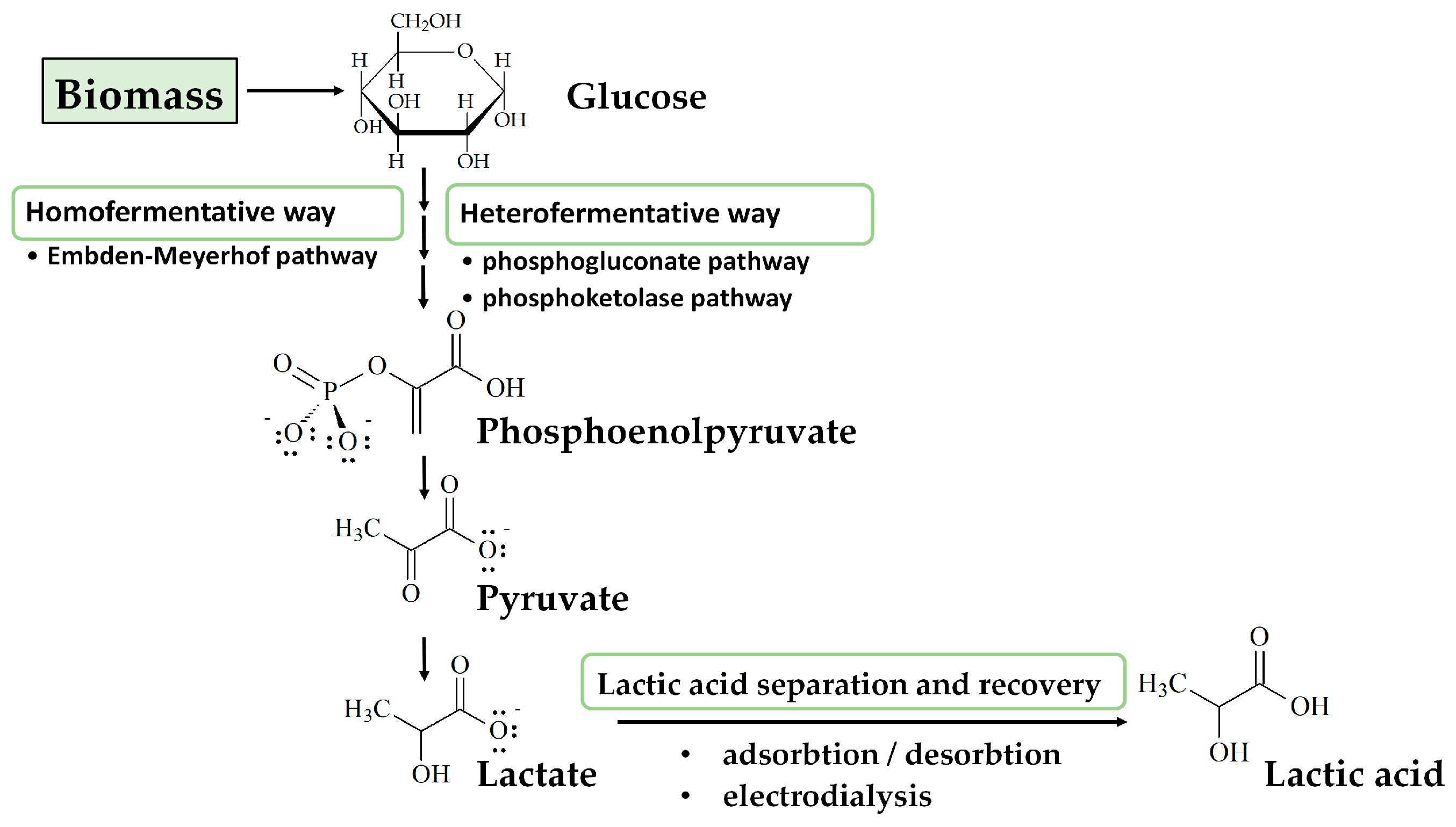 Polymers 15 01539 g004
