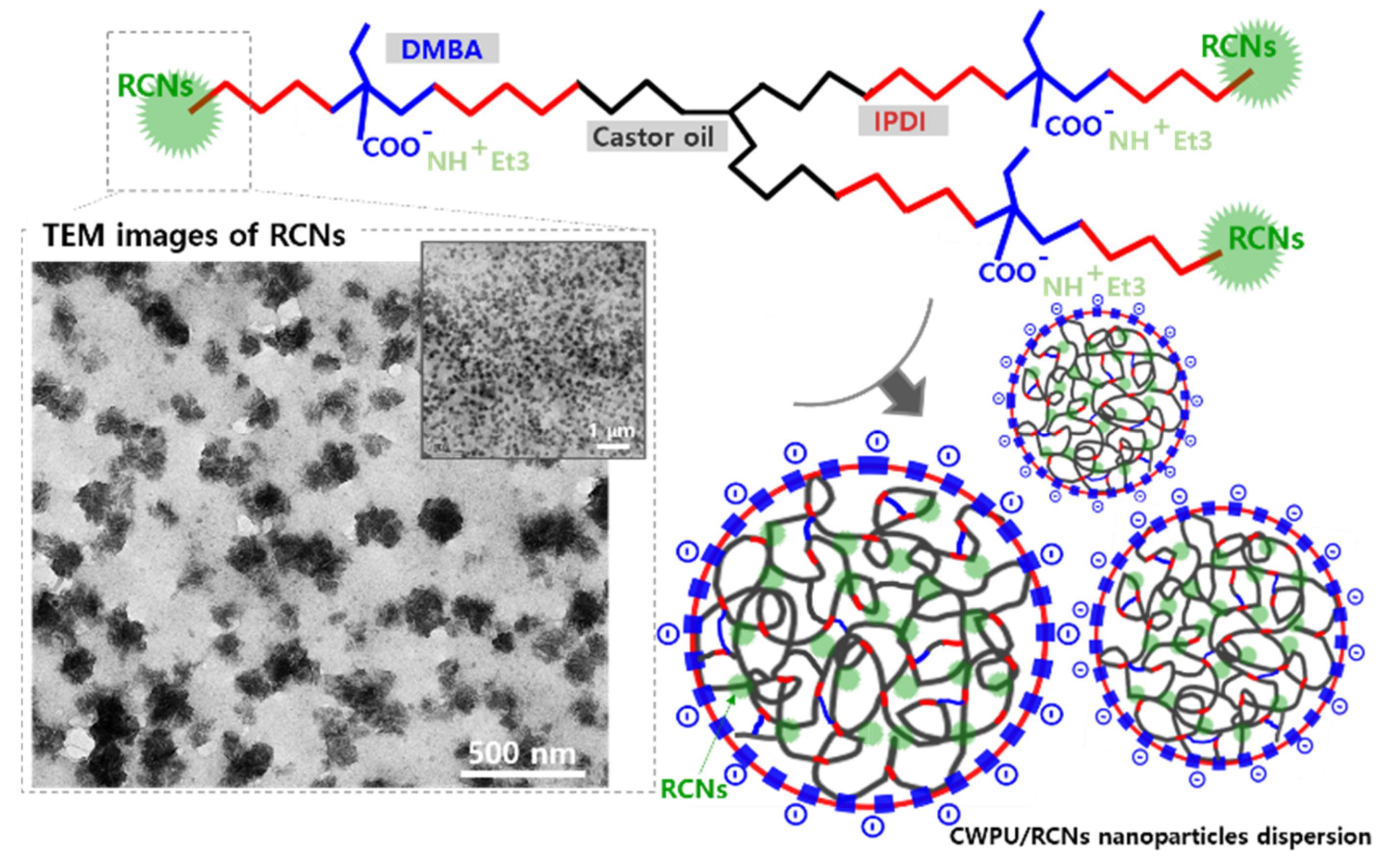 Polymers 15 01541 g002