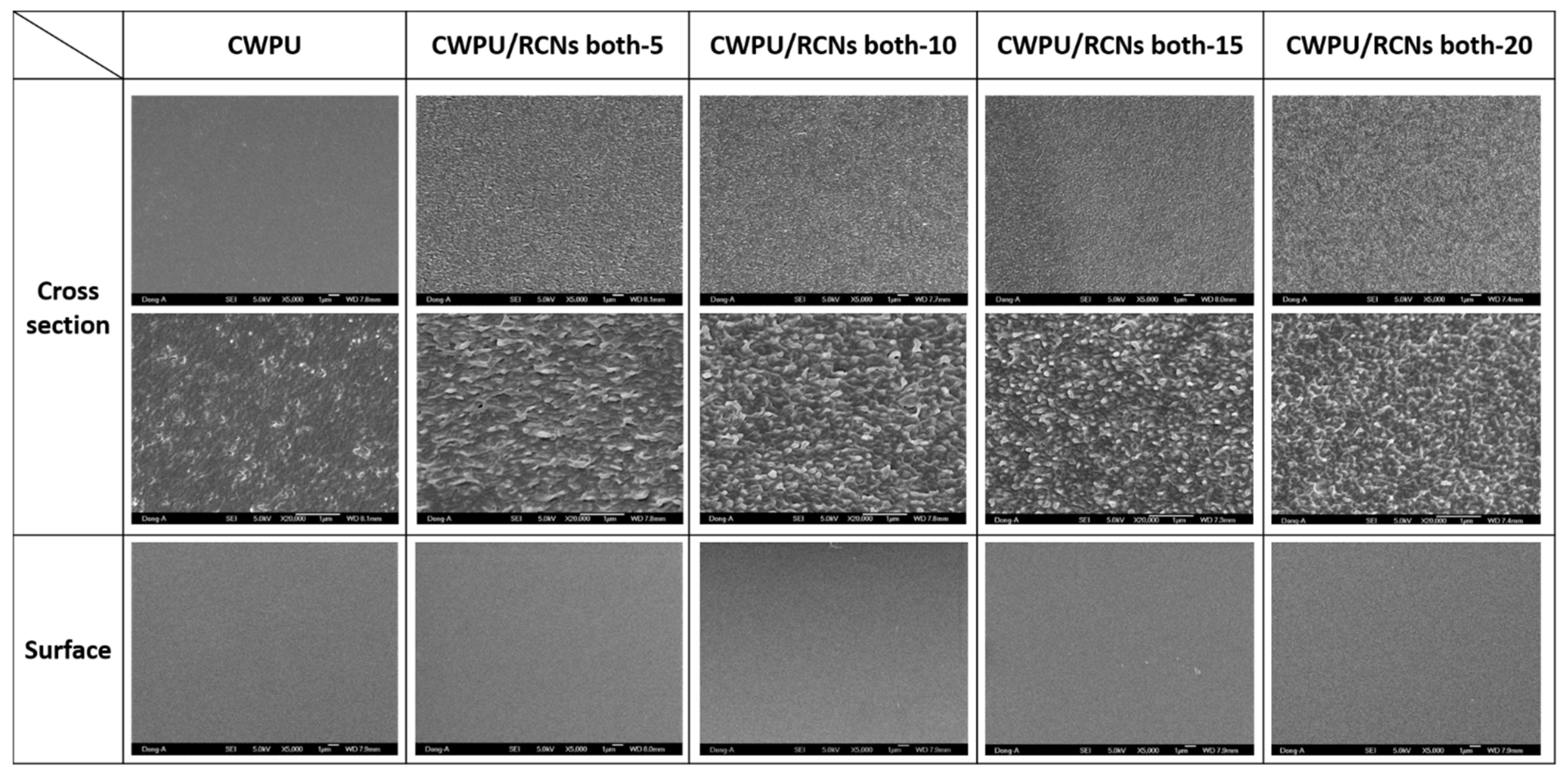 Polymers 15 01541 g007