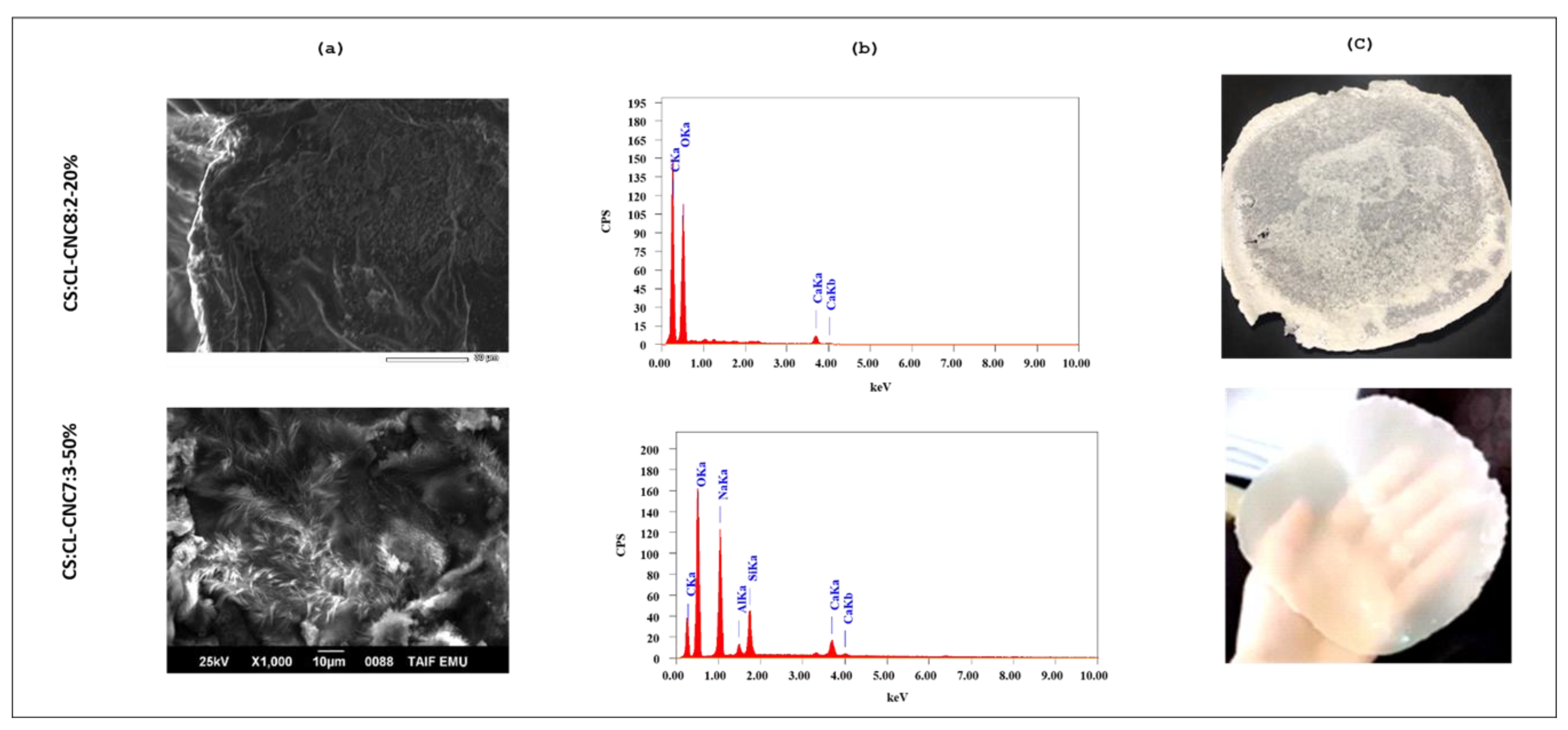 Polymers 15 01542 g003