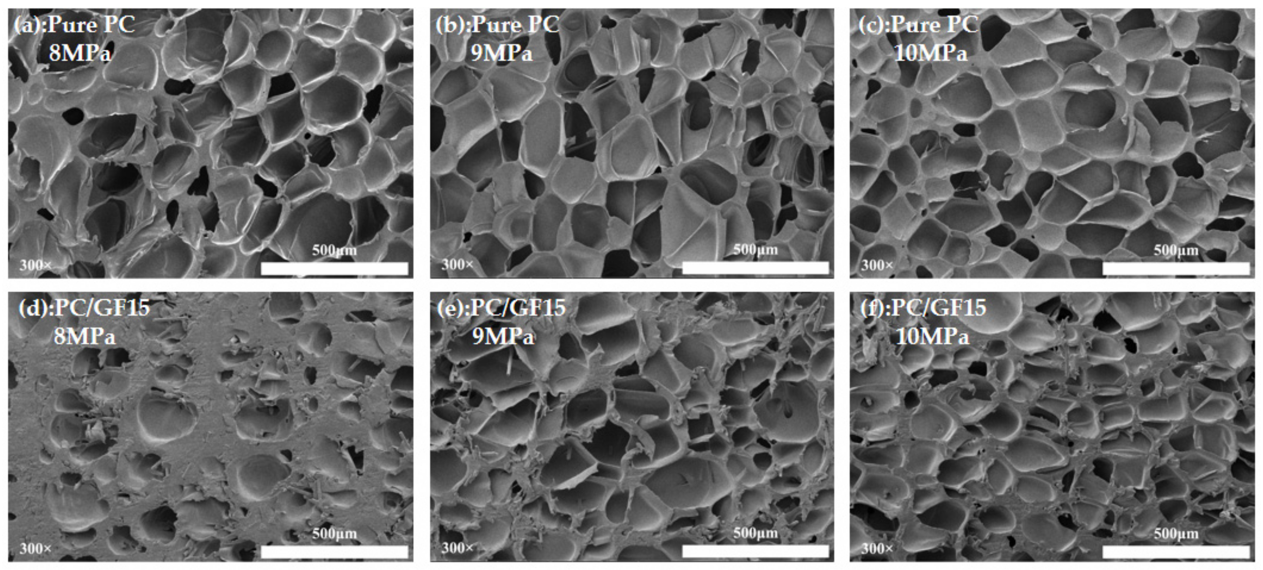 Polymers 15 01546 g008 Polymers 15 01546 g008