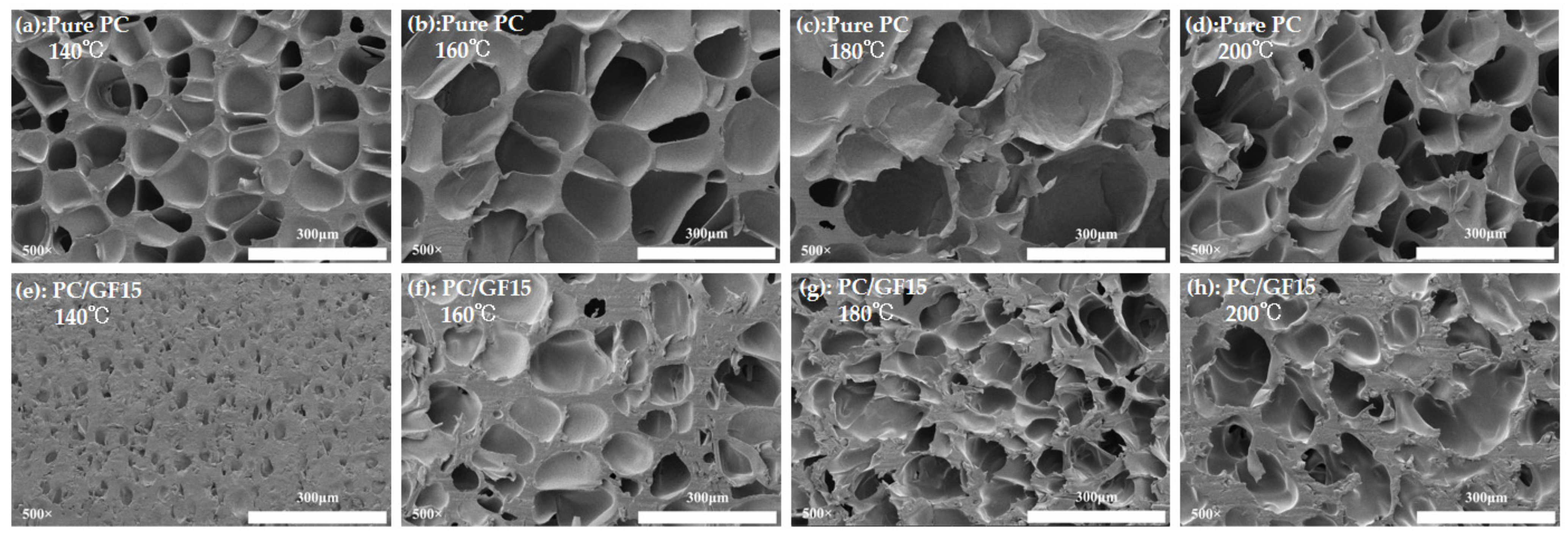 Polymers 15 01546 g010 Polymers 15 01546 g010
