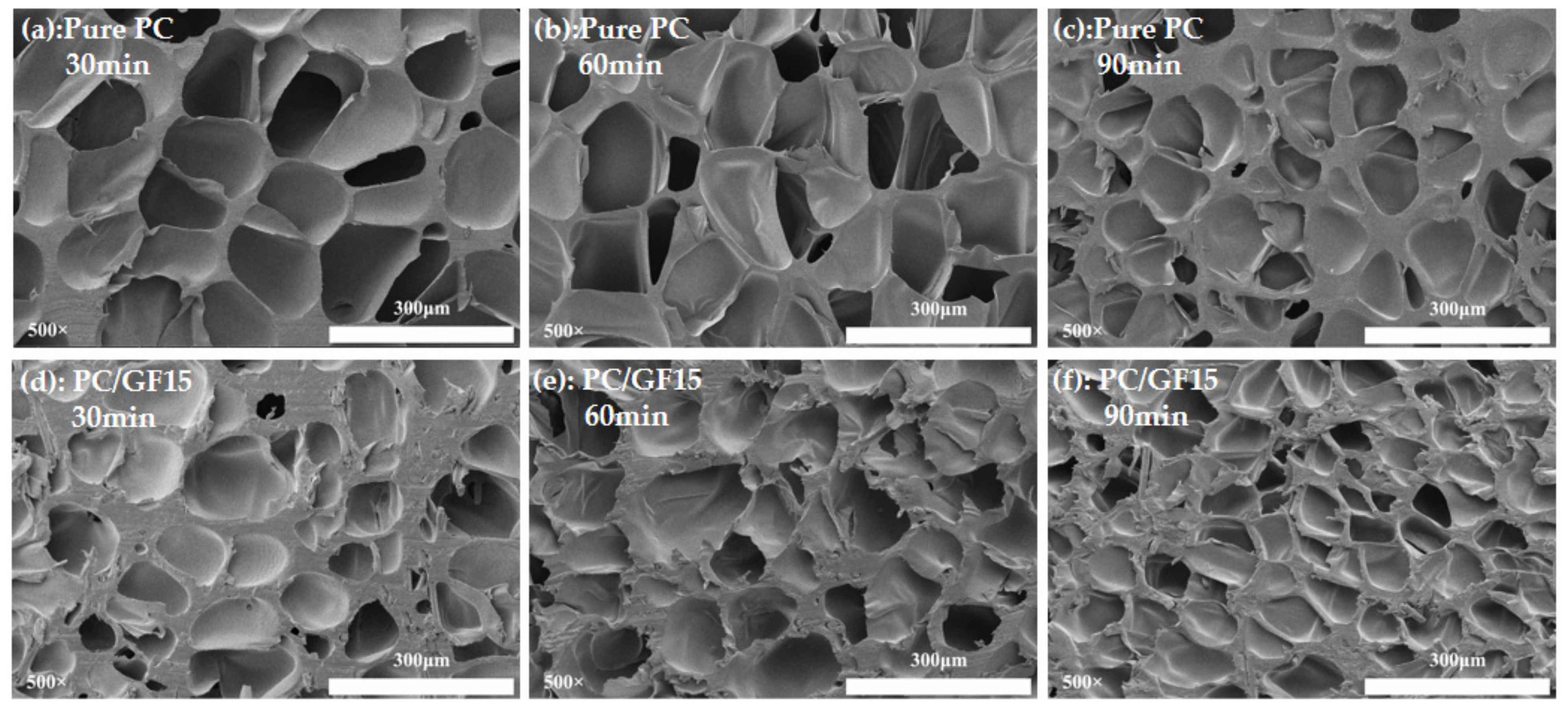 Polymers 15 01546 g012 Polymers 15 01546 g012
