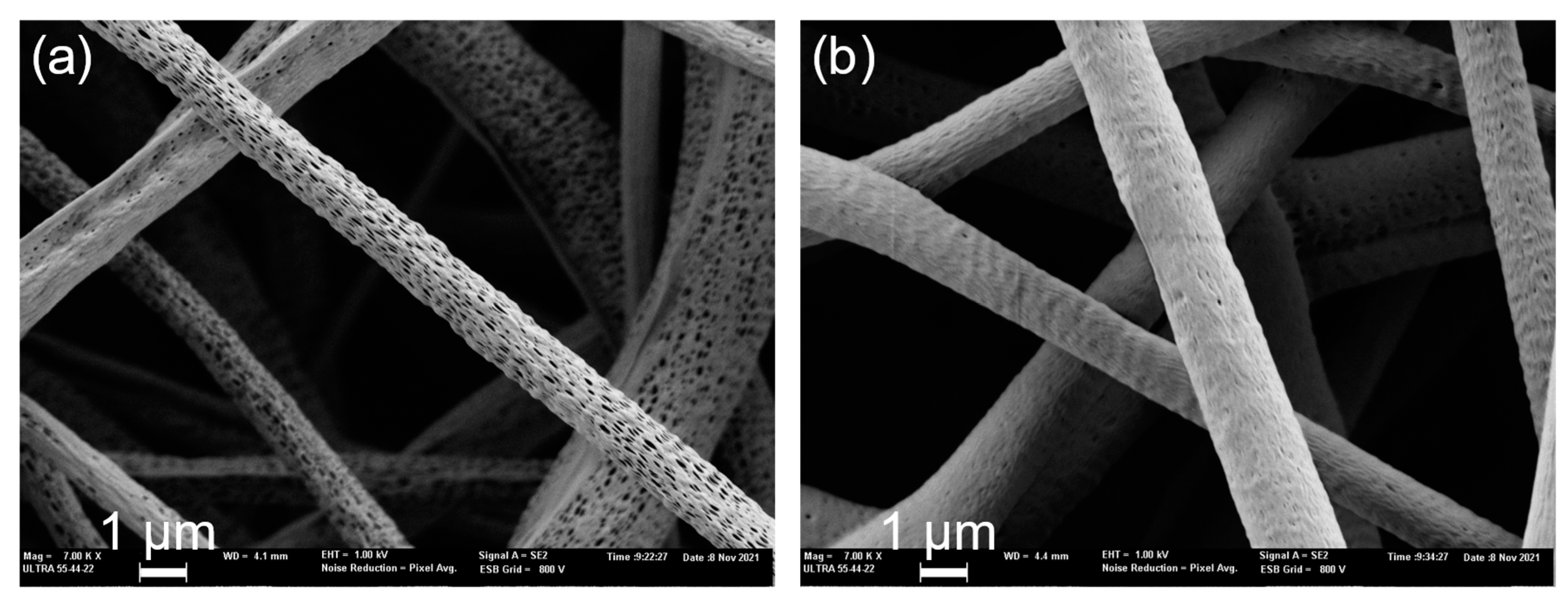 Polymers 15 01554 g013
