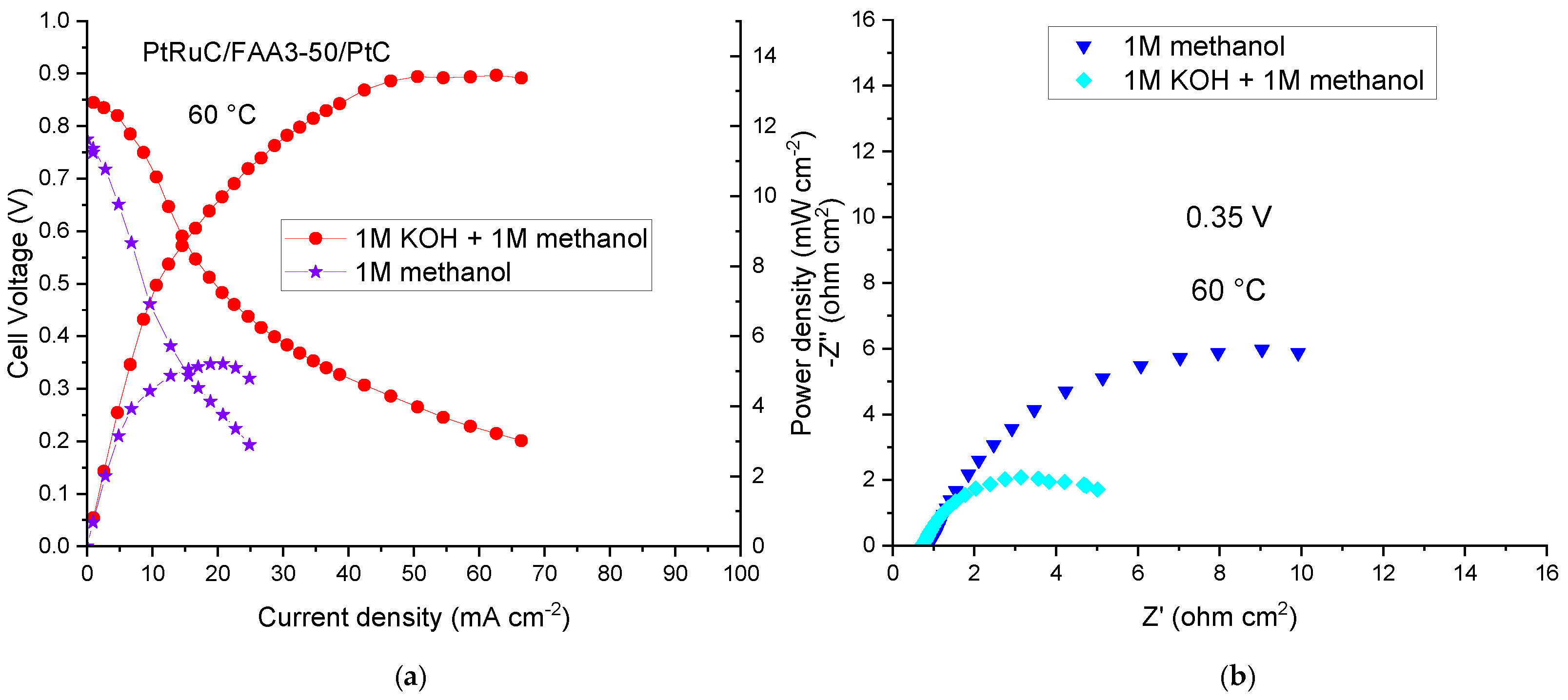 Polymers 15 01555 g005