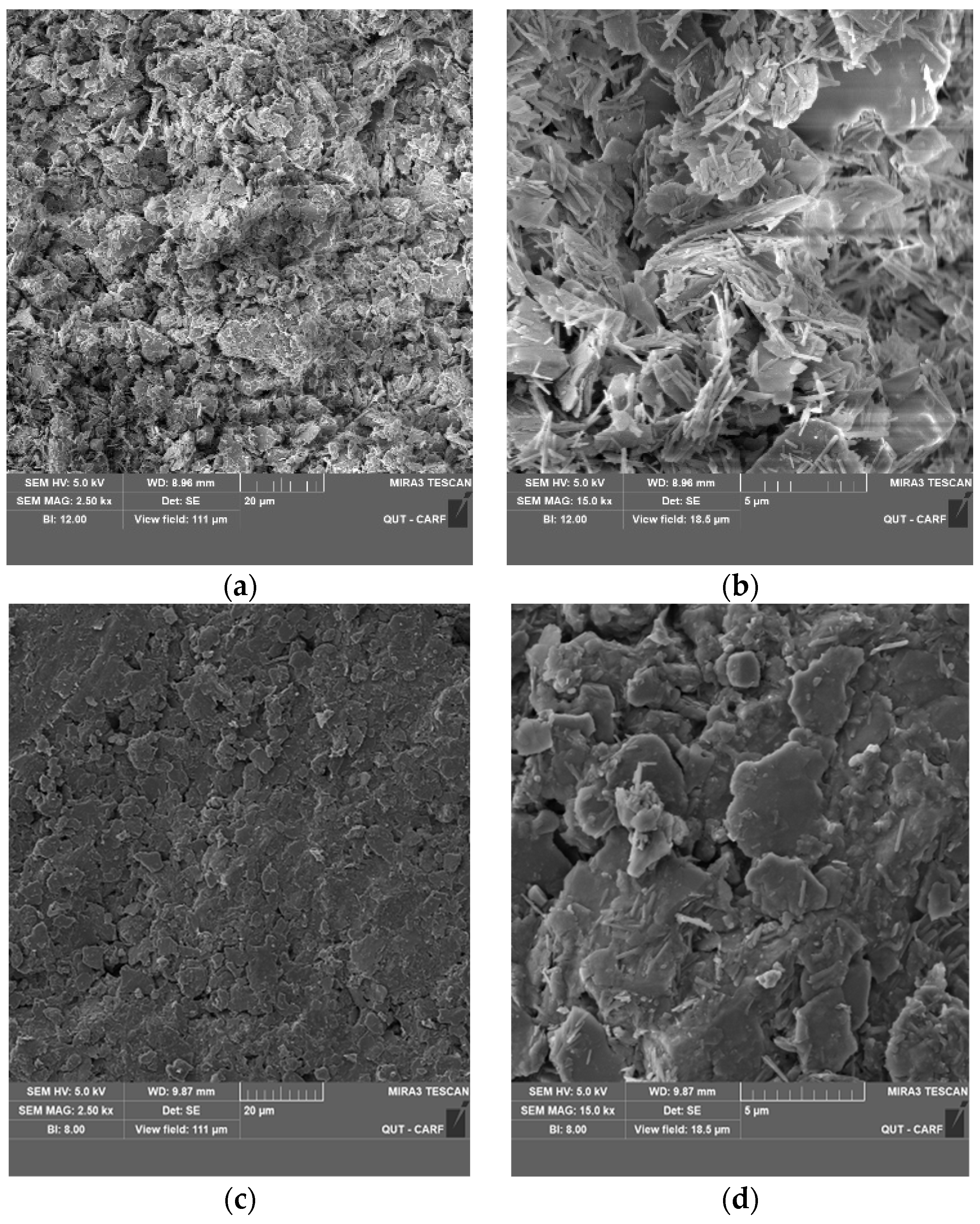 Polymers 15 01556 g011