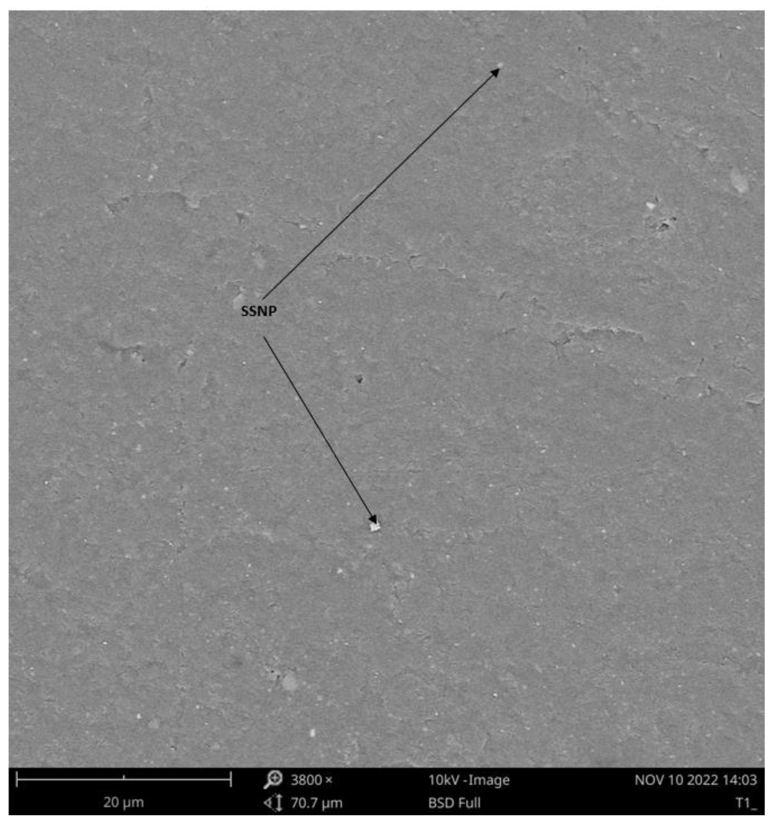 Polymers 15 01557 g006 Polymers 15 01557 g006