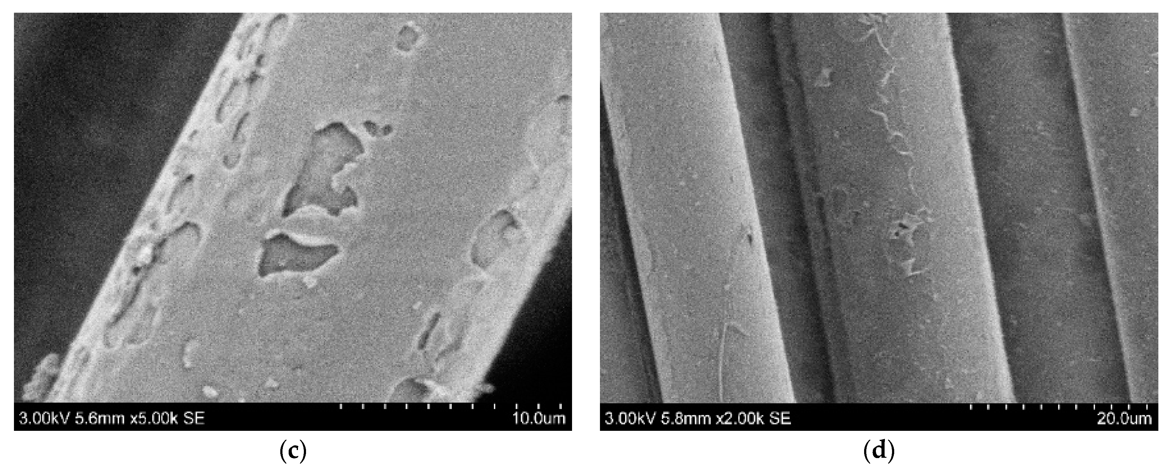 Polymers 15 01559 g007b Polymers 15 01559 g007b