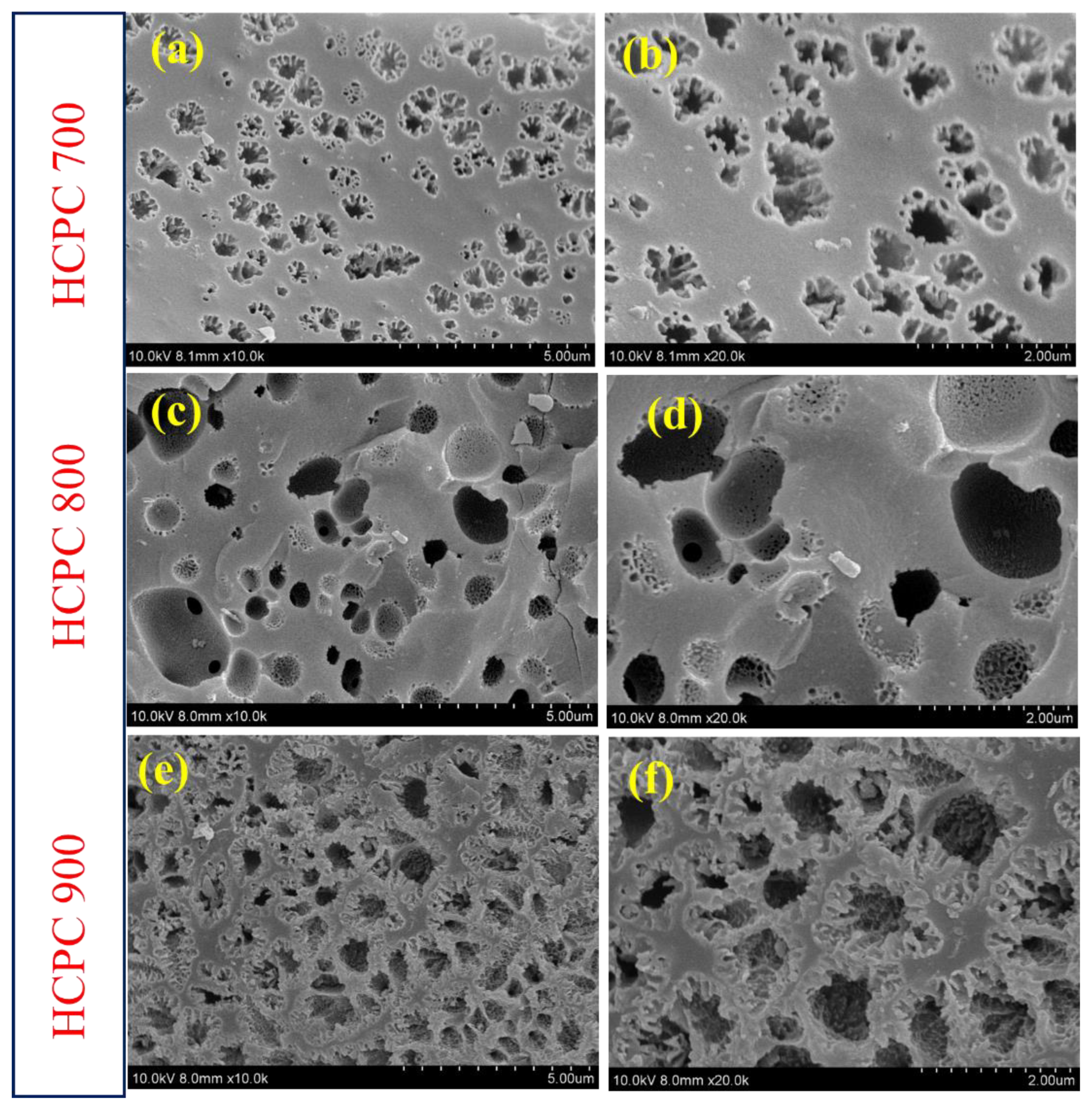 Polymers 15 01564 g004