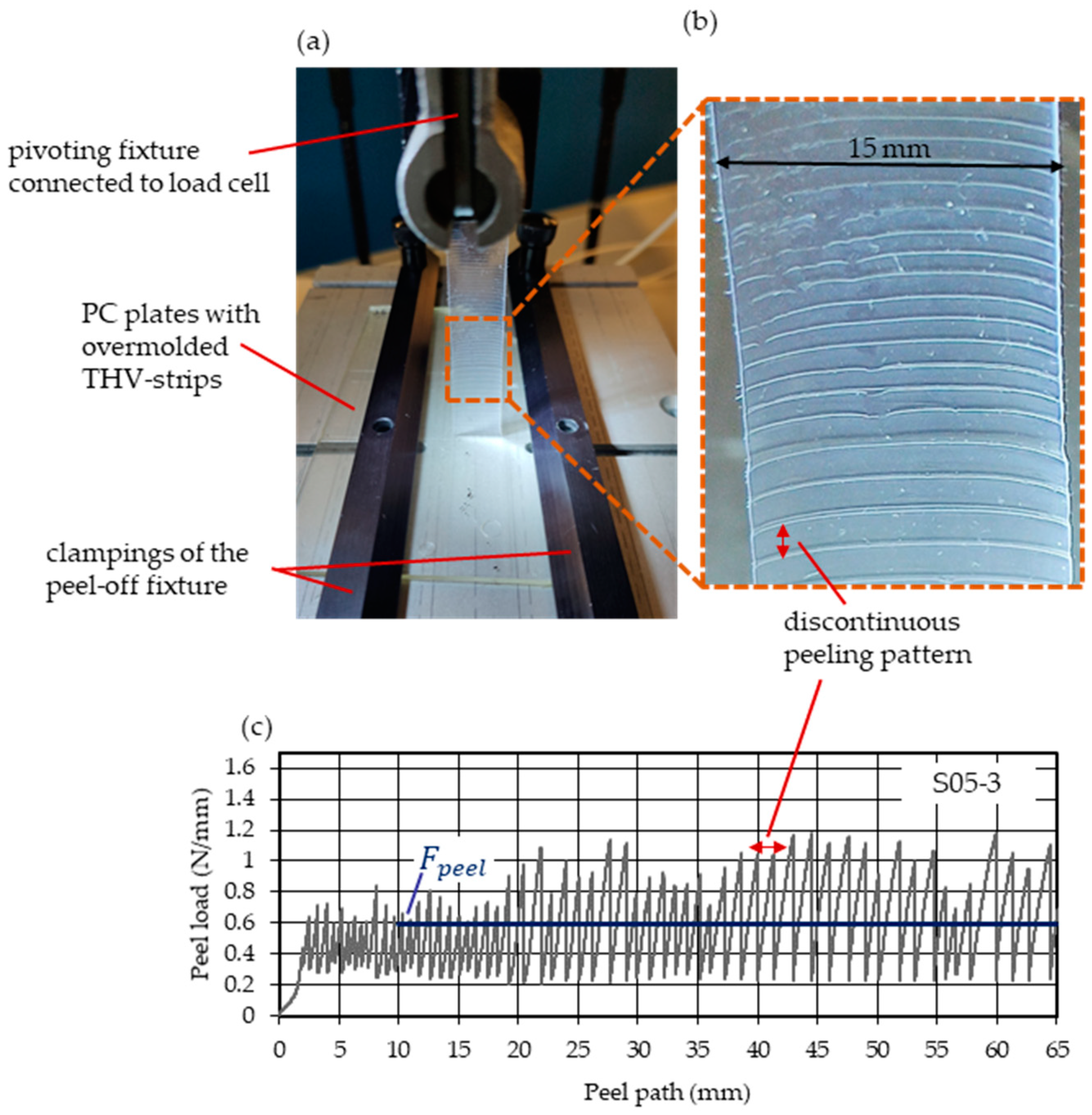 Polymers 15 01568 g003 Polymers 15 01568 g003