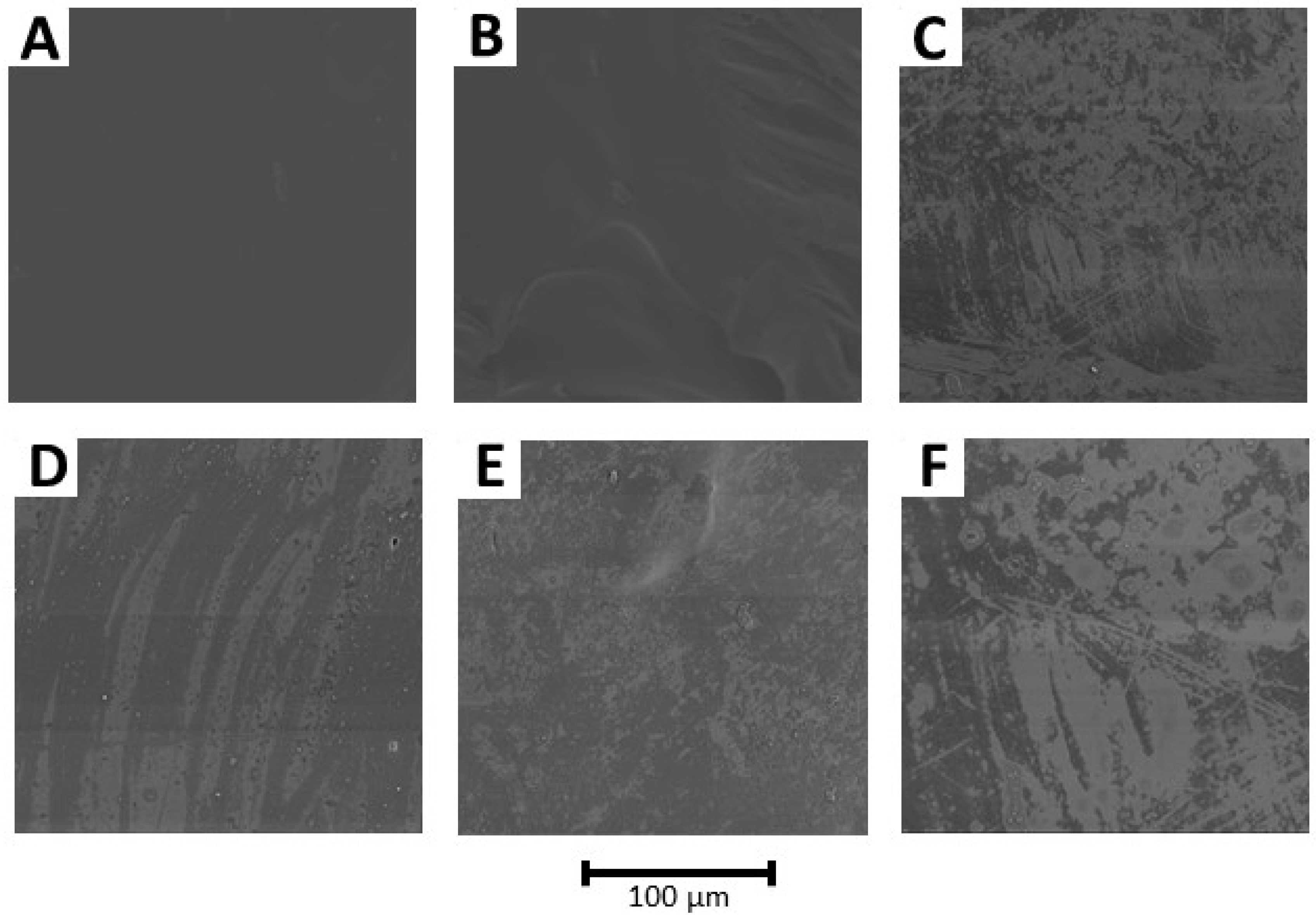 Polymers 15 01570 g005